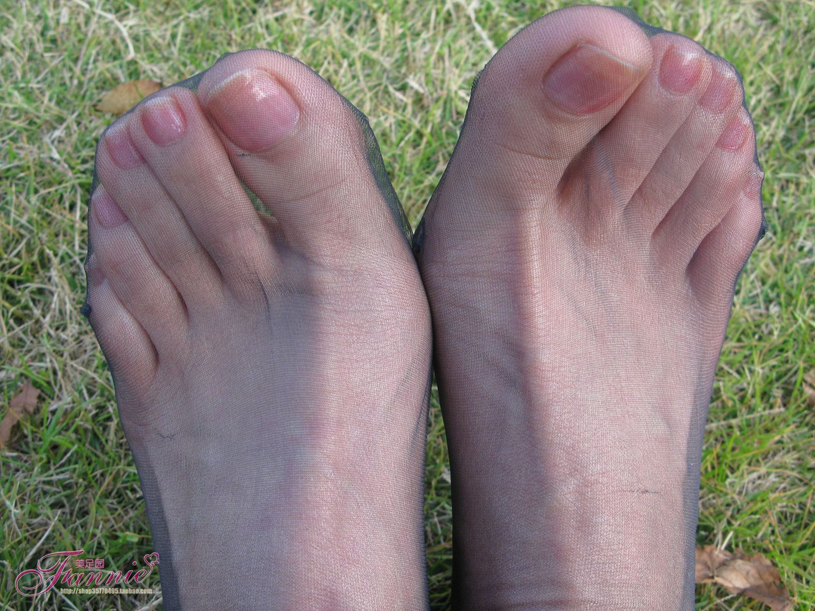 图片[24]-Fannie芬妮每足园 No.364 窃窃私语灰丝 [88P] – 速更版-美库