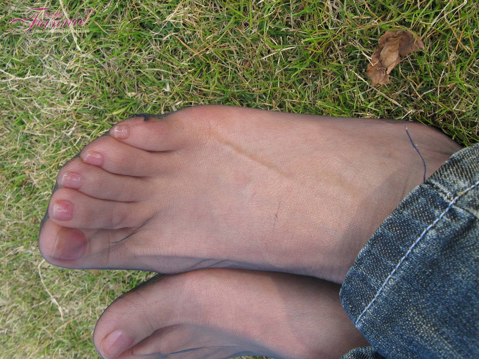 图片[29]-Fannie芬妮每足园 No.364 窃窃私语灰丝 [88P] – 速更版-美库