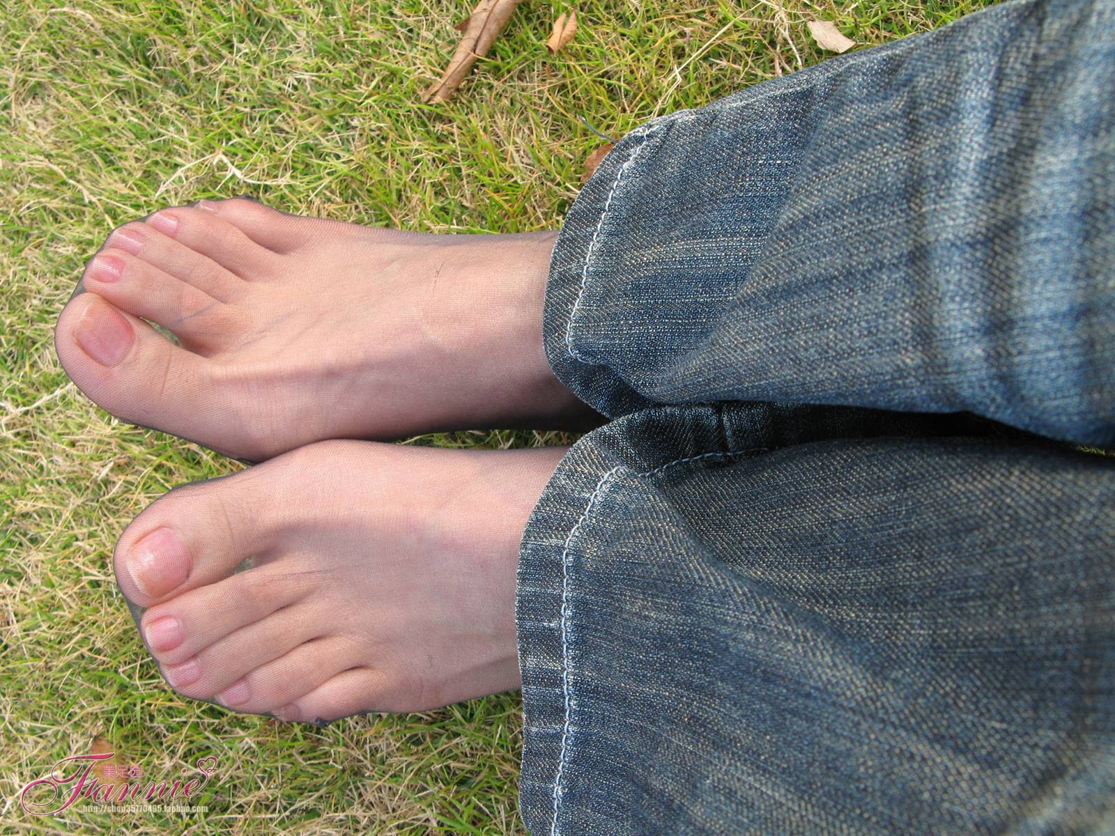 图片[30]-Fannie芬妮每足园 No.364 窃窃私语灰丝 [88P] – 速更版-美库