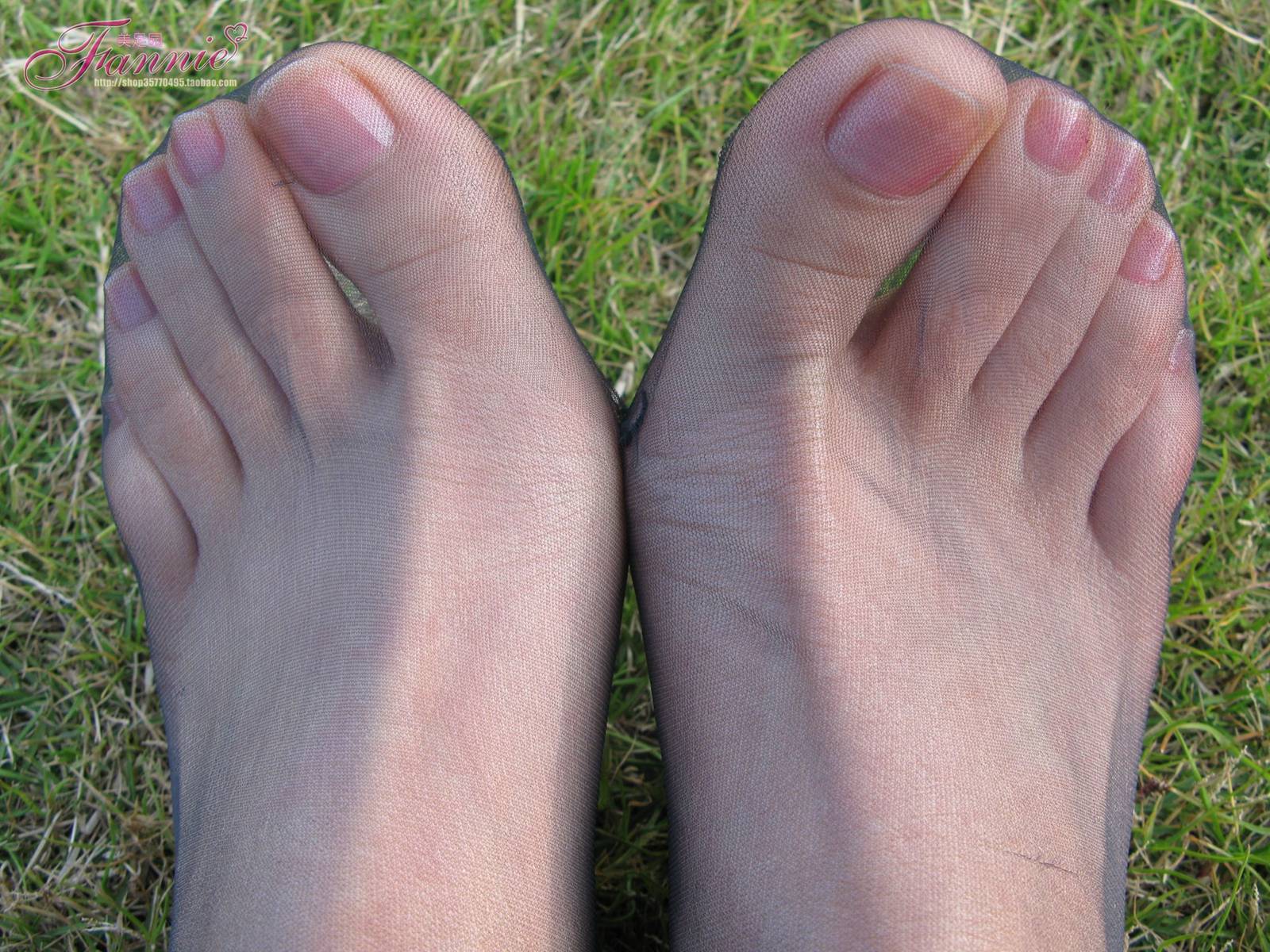 图片[43]-Fannie芬妮每足园 No.364 窃窃私语灰丝 [88P] – 速更版-美库