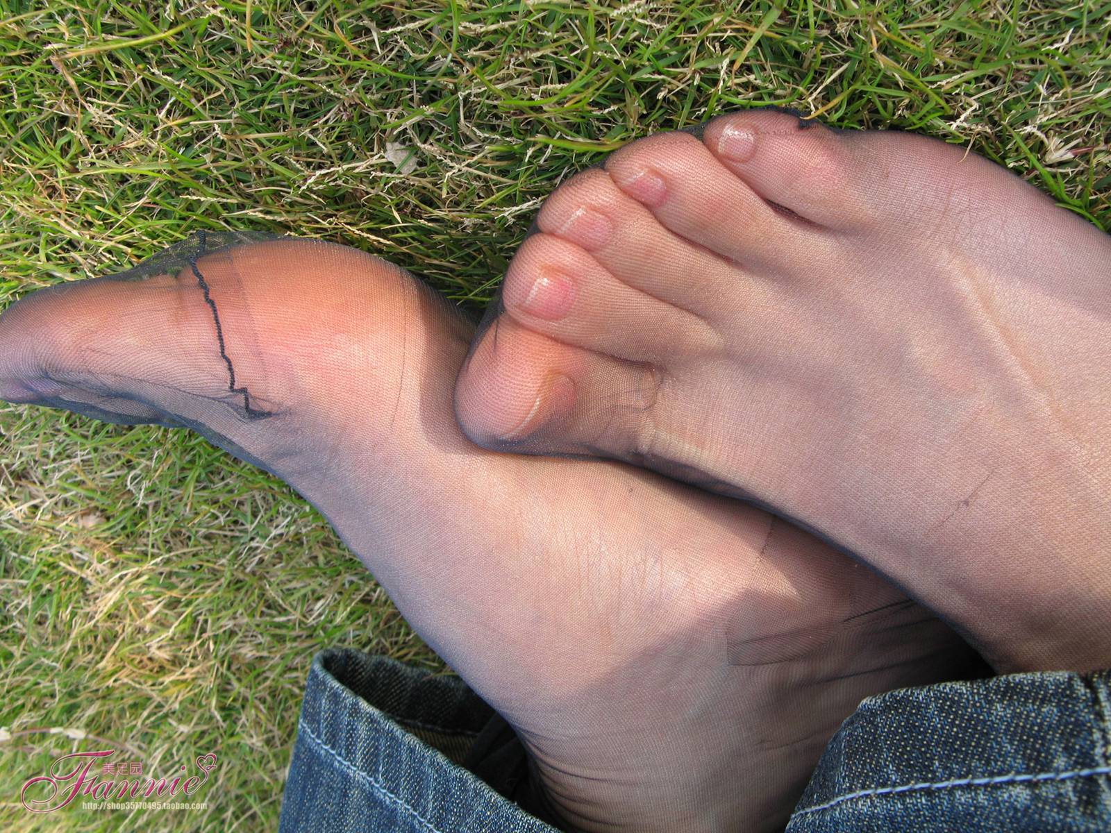 图片[52]-Fannie芬妮每足园 No.364 窃窃私语灰丝 [88P] – 速更版-美库