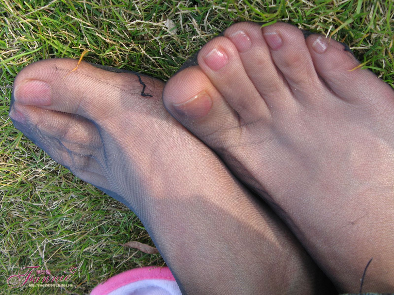 图片[53]-Fannie芬妮每足园 No.364 窃窃私语灰丝 [88P] – 速更版-美库