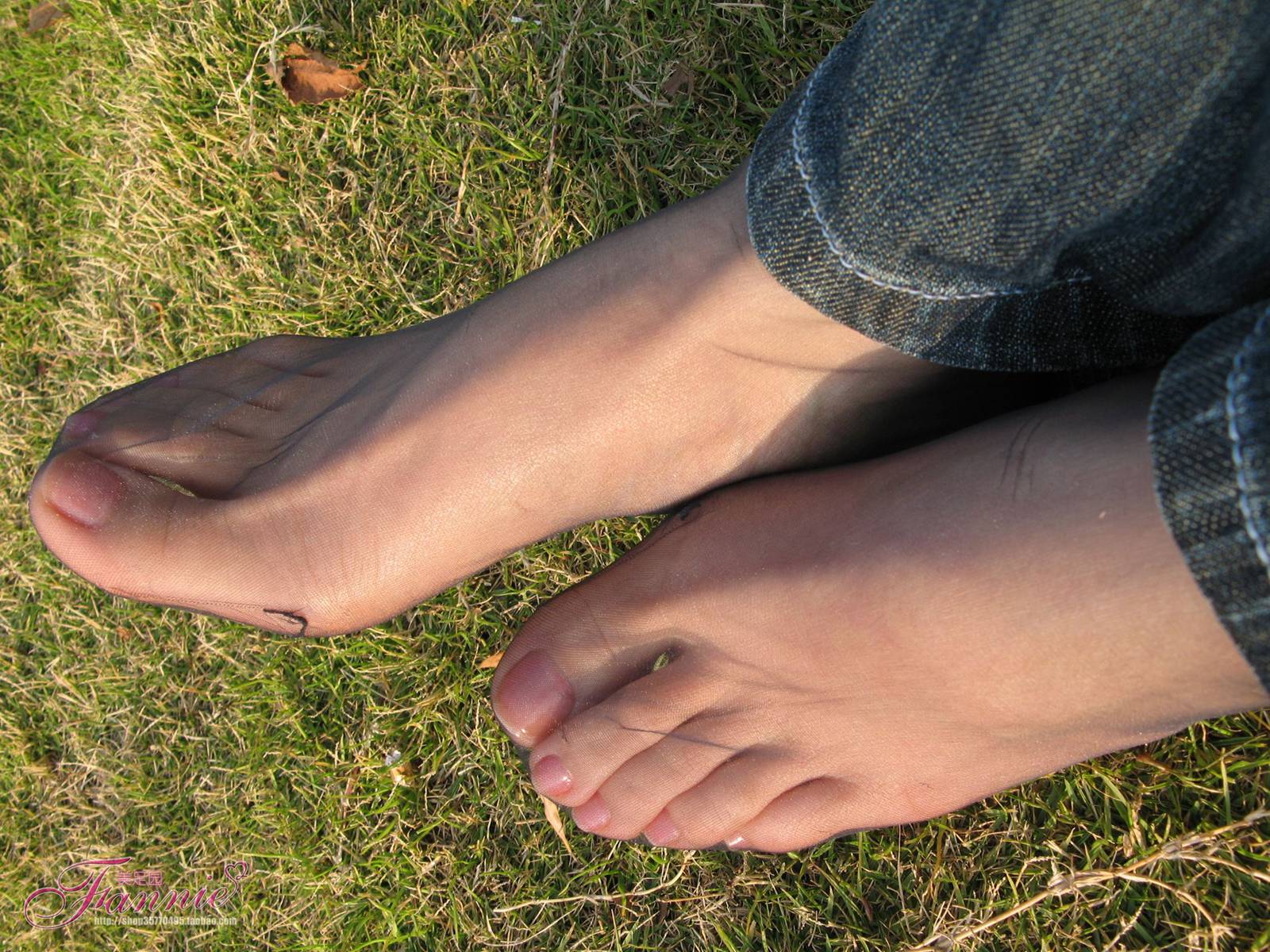 图片[61]-Fannie芬妮每足园 No.364 窃窃私语灰丝 [88P] – 速更版-美库