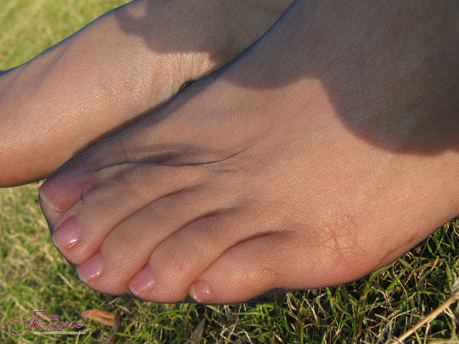 图片[62]-Fannie芬妮每足园 No.364 窃窃私语灰丝 [88P] – 速更版-美库