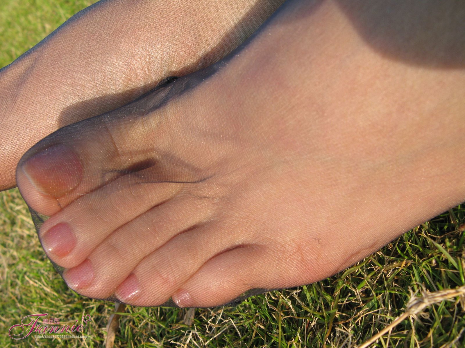 图片[63]-Fannie芬妮每足园 No.364 窃窃私语灰丝 [88P] – 速更版-美库