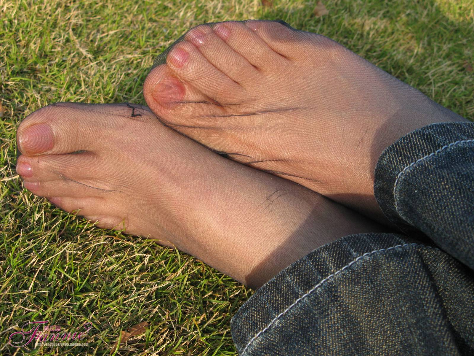 图片[65]-Fannie芬妮每足园 No.364 窃窃私语灰丝 [88P] – 速更版-美库