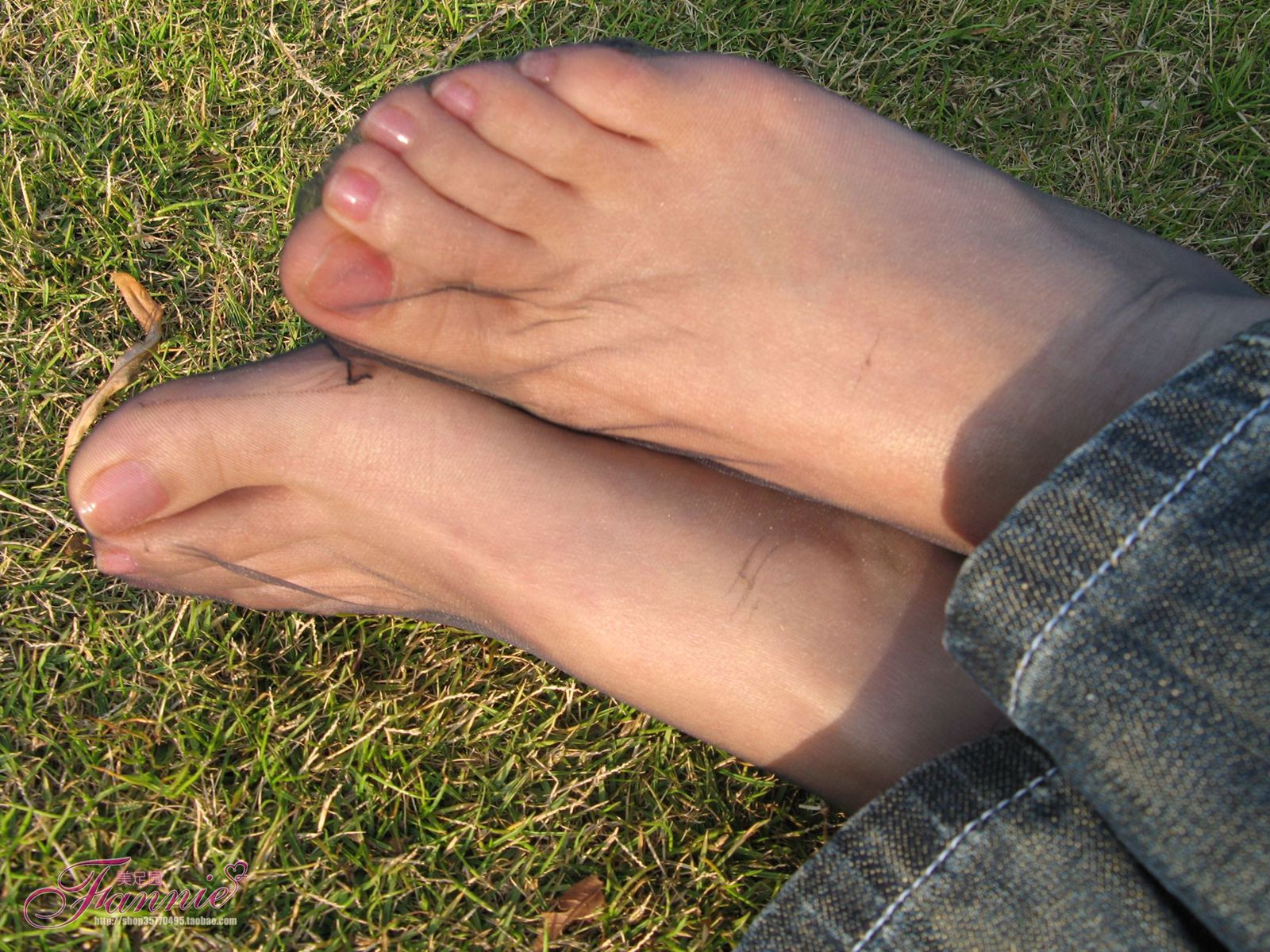 图片[68]-Fannie芬妮每足园 No.364 窃窃私语灰丝 [88P] – 速更版-美库