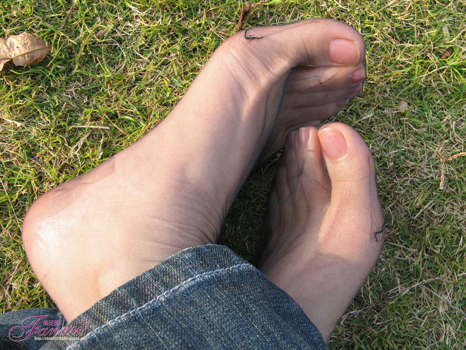 图片[70]-Fannie芬妮每足园 No.364 窃窃私语灰丝 [88P] – 速更版-美库