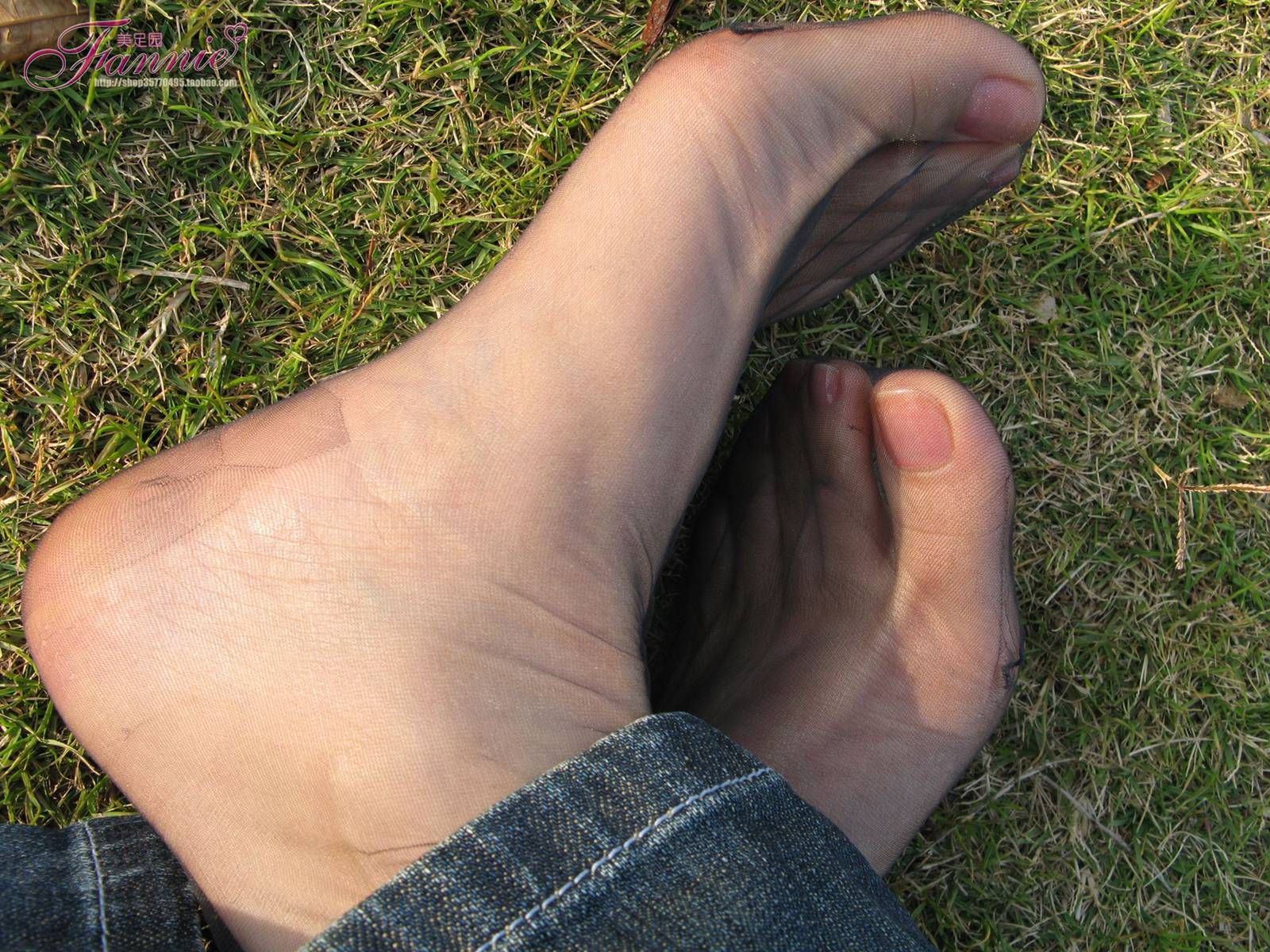 图片[72]-Fannie芬妮每足园 No.364 窃窃私语灰丝 [88P] – 速更版-美库