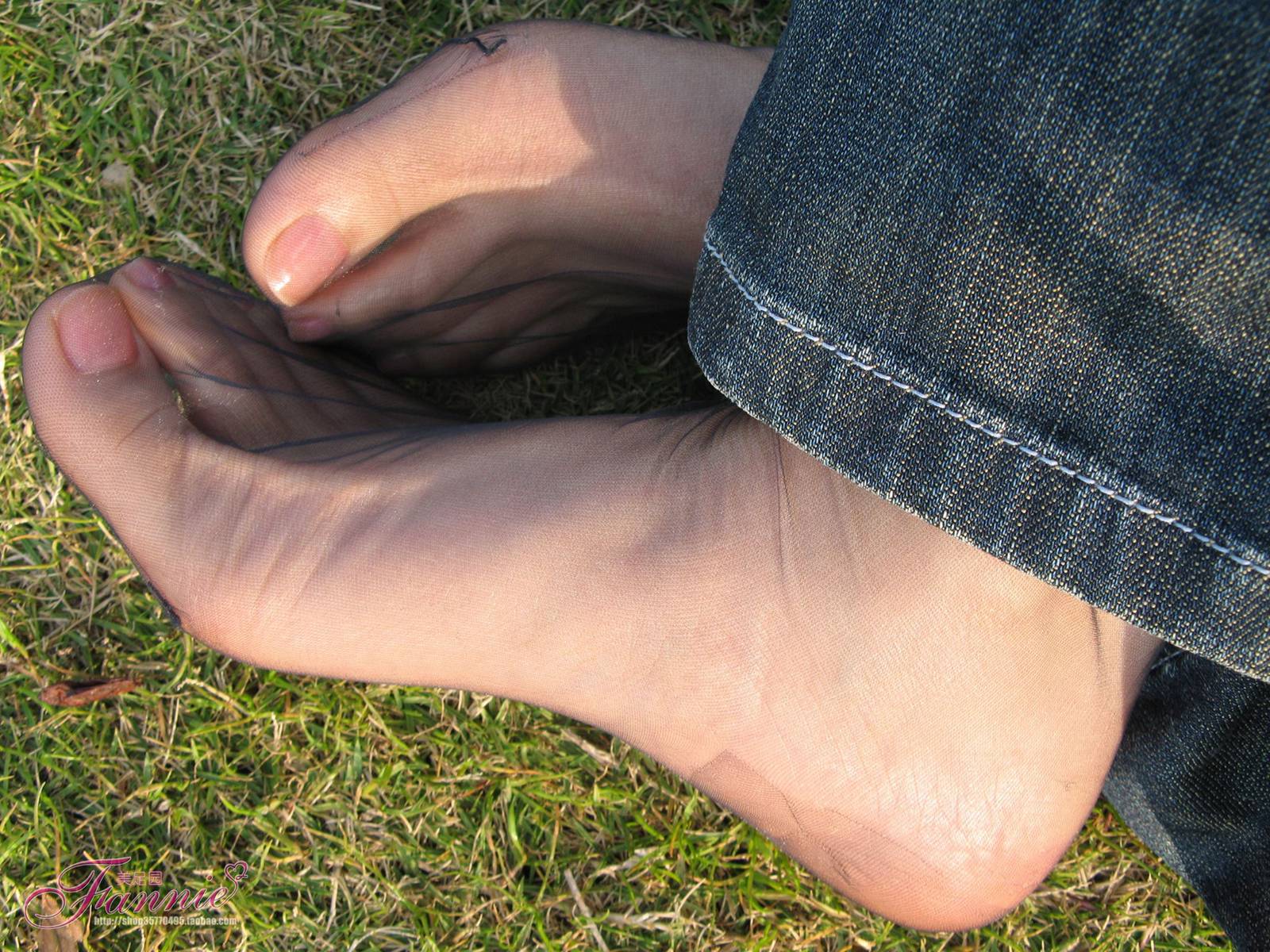 图片[73]-Fannie芬妮每足园 No.364 窃窃私语灰丝 [88P] – 速更版-美库