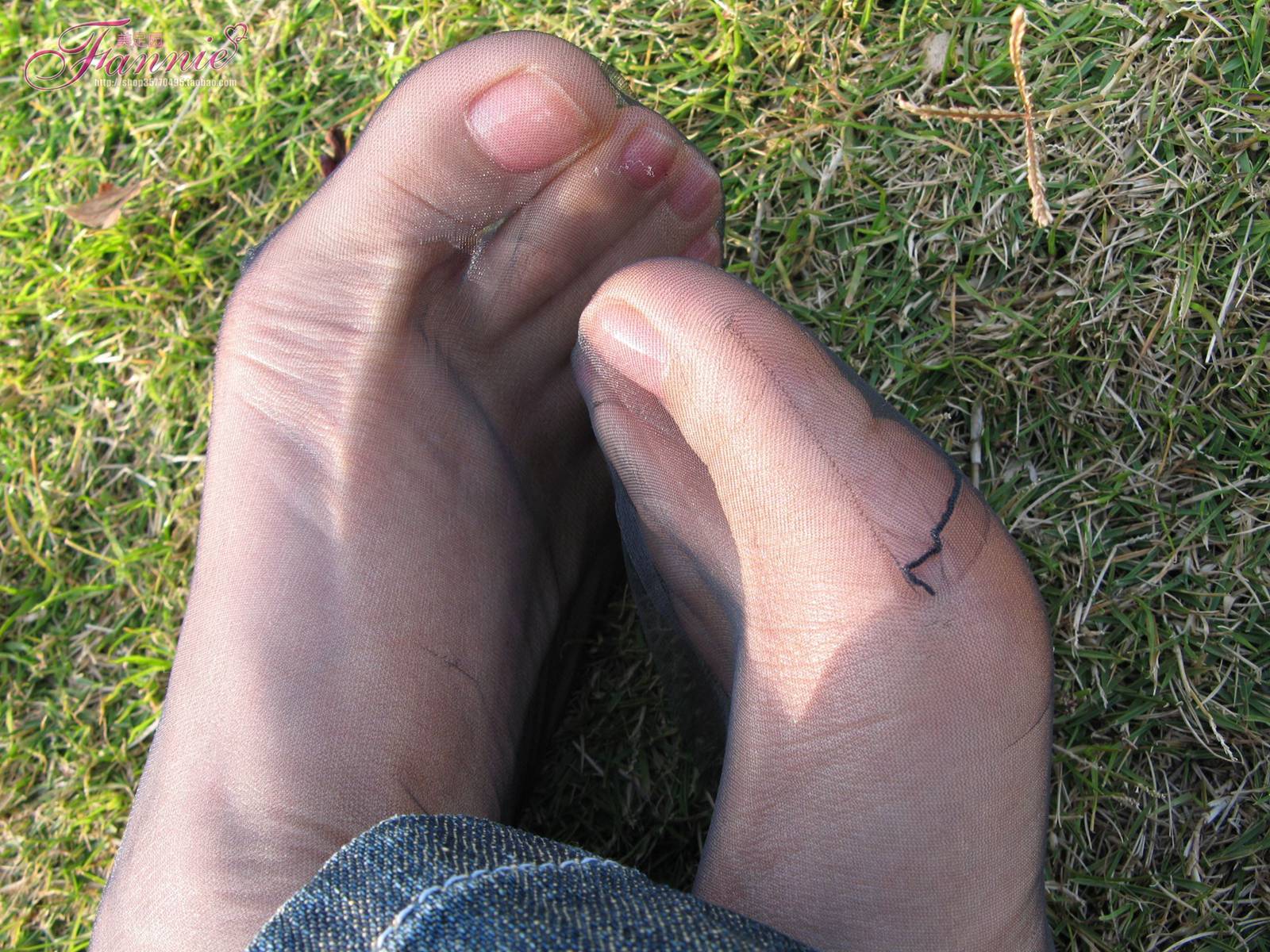 图片[74]-Fannie芬妮每足园 No.364 窃窃私语灰丝 [88P] – 速更版-美库