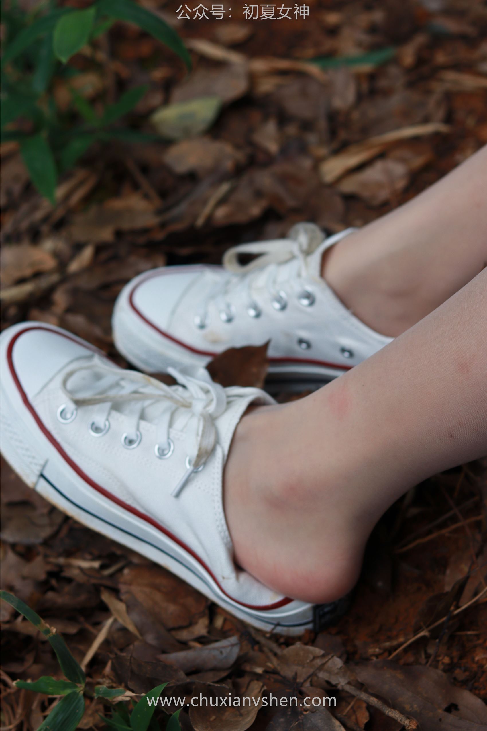 图片[105]-[初夏女神] NO.095 点点&双双~《姐妹出行》夏季登山记 [163P] – 速更版-美库