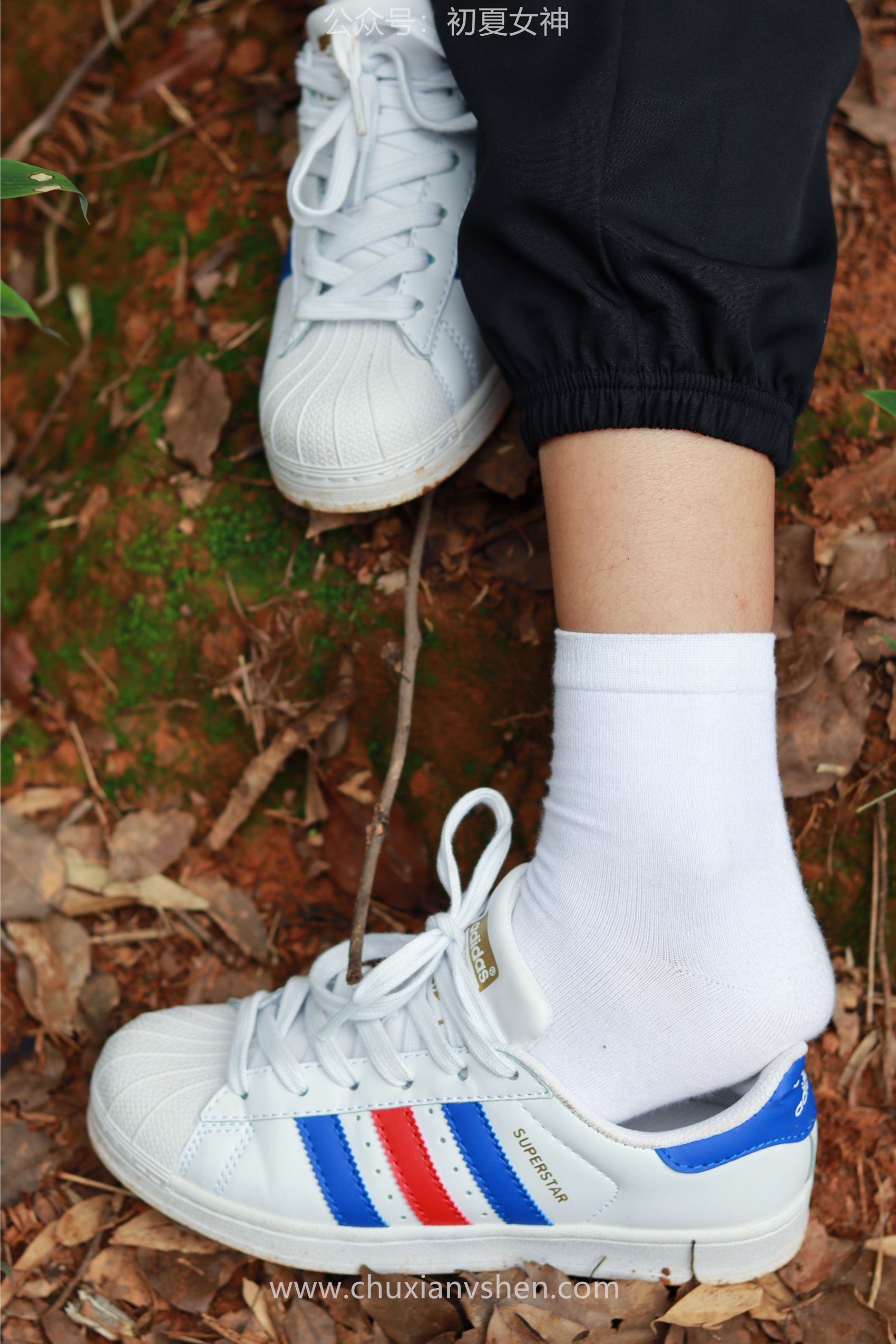 图片[112]-[初夏女神] NO.095 点点&双双~《姐妹出行》夏季登山记 [163P] – 速更版-美库