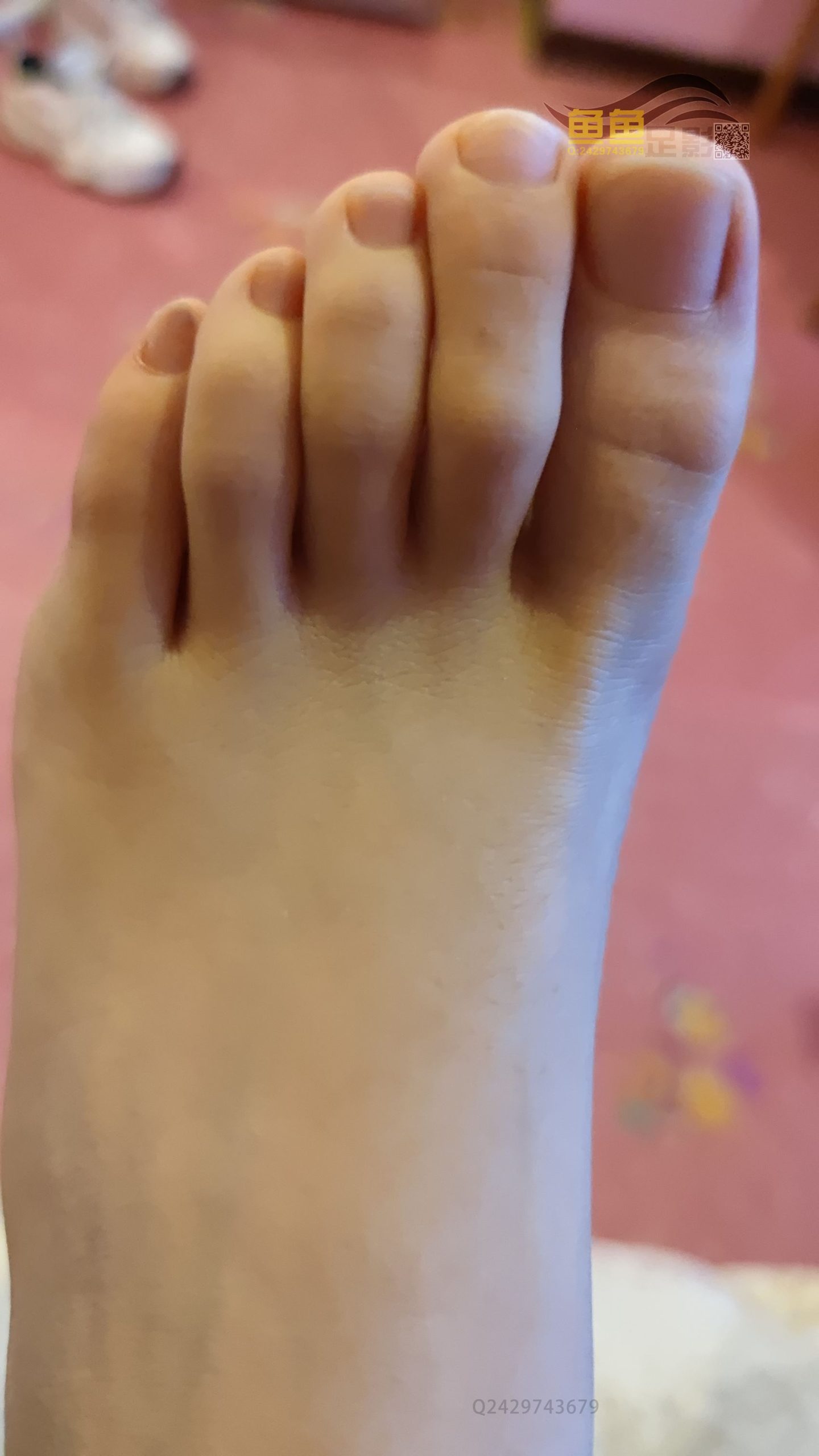 图片[86]-鱼鱼足影@065-第65期：蓝鲸礼仪39码[229P] – 速更版-美库