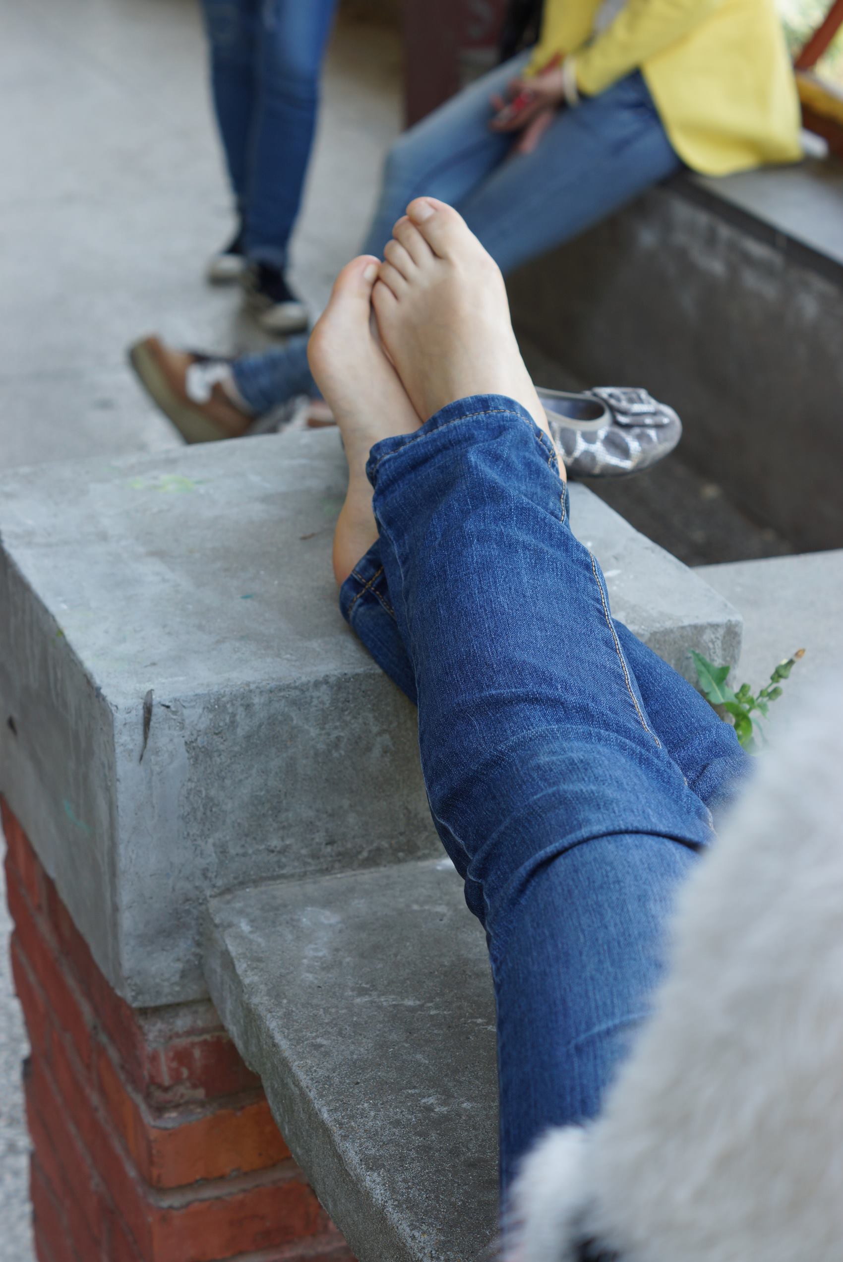 图片[36]-自由摄影 No.084 幽静的亭子 [38P] – 速更版-美库