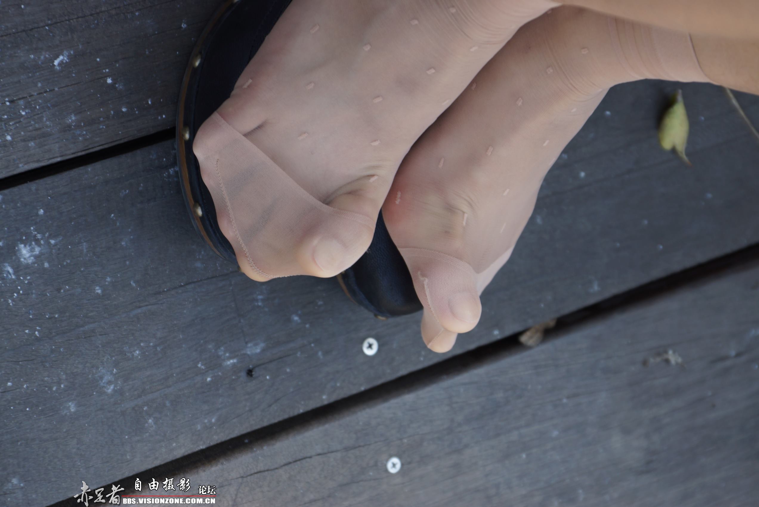 图片[29]-自由摄影 No.094 阳阳 水晶斑点丝族 [54P] – 速更版-美库