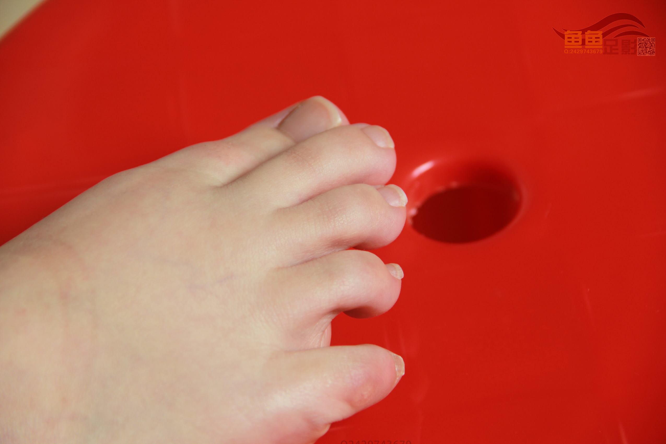 图片[65]-鱼鱼足影@069-第69期：肥妞与佛山金融妹[81P] – 速更版-美库