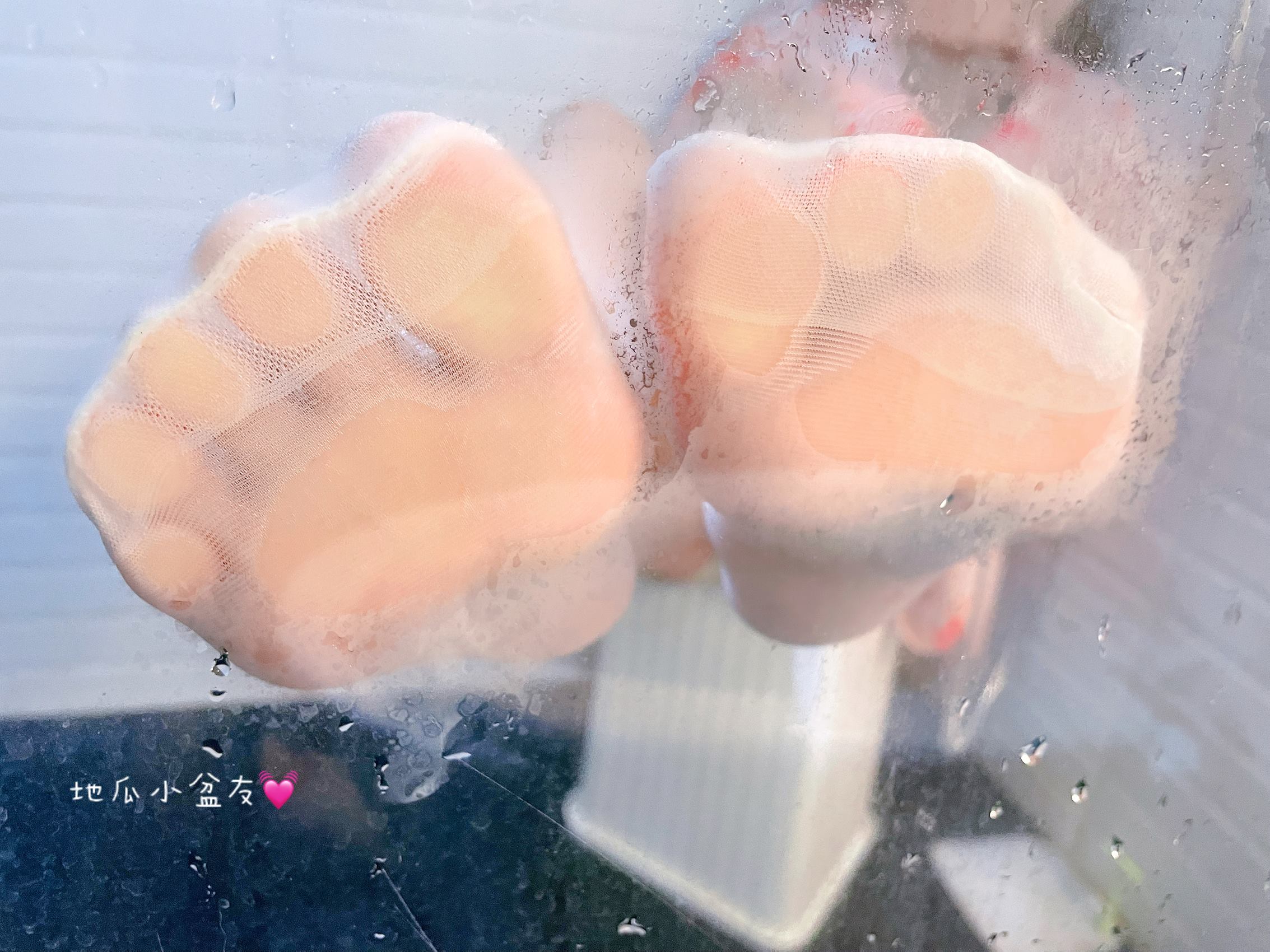 图片[10]-网紅Coser@地瓜小朋友 -猫咪[17P] – 速更版-美库