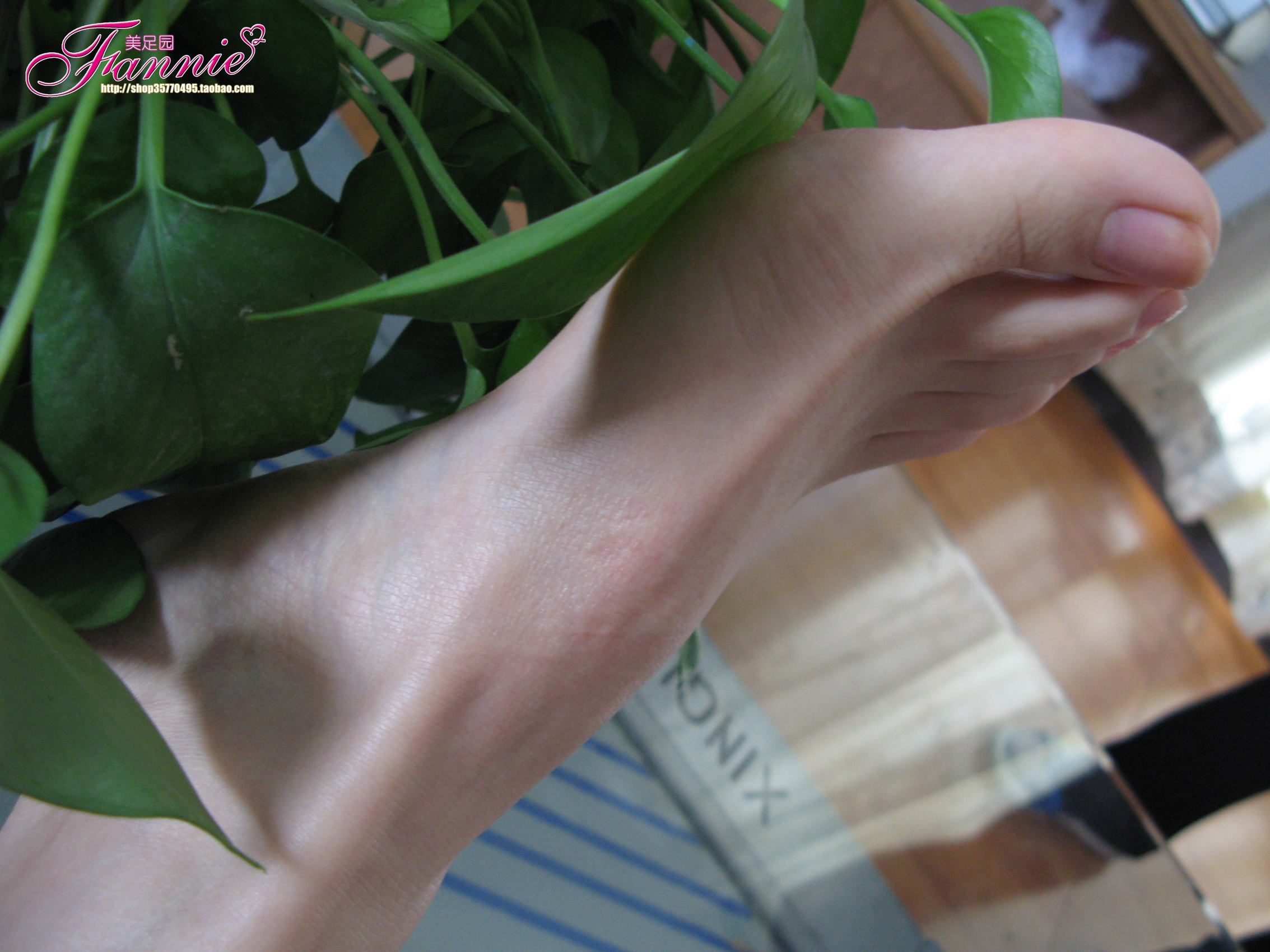 图片[16]-Fannie芬妮每足园 No.386 秋韵偶拾之青葱[92P] – 速更版-美库