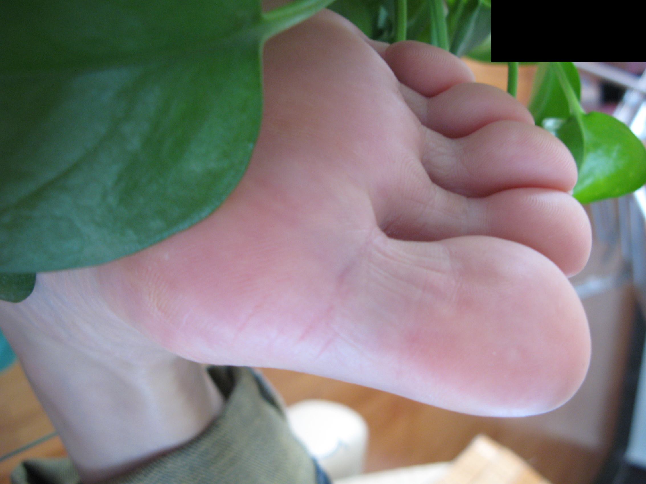 图片[33]-Fannie芬妮每足园 No.386 秋韵偶拾之青葱[92P] – 速更版-美库