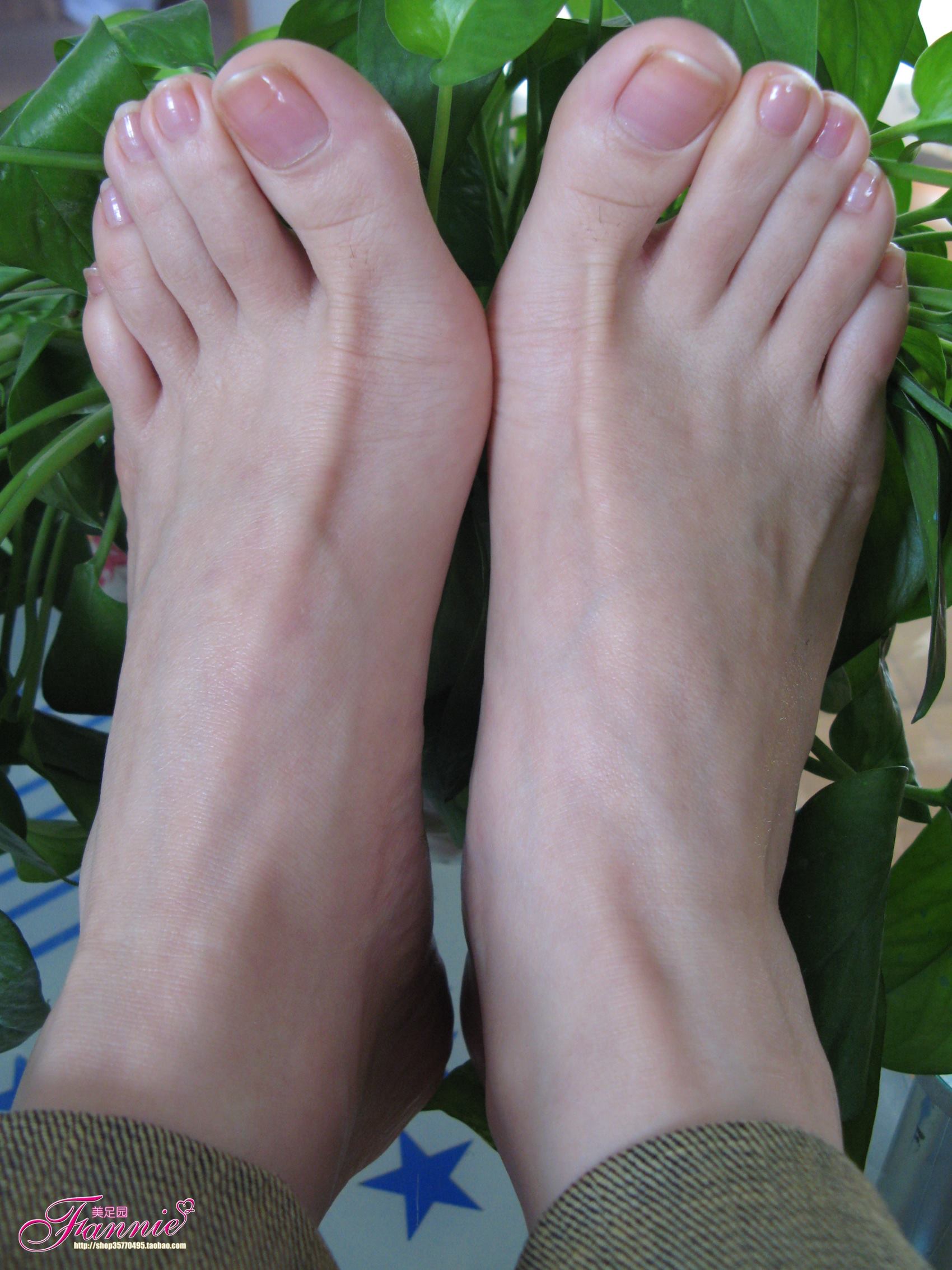 图片[46]-Fannie芬妮每足园 No.386 秋韵偶拾之青葱[92P] – 速更版-美库