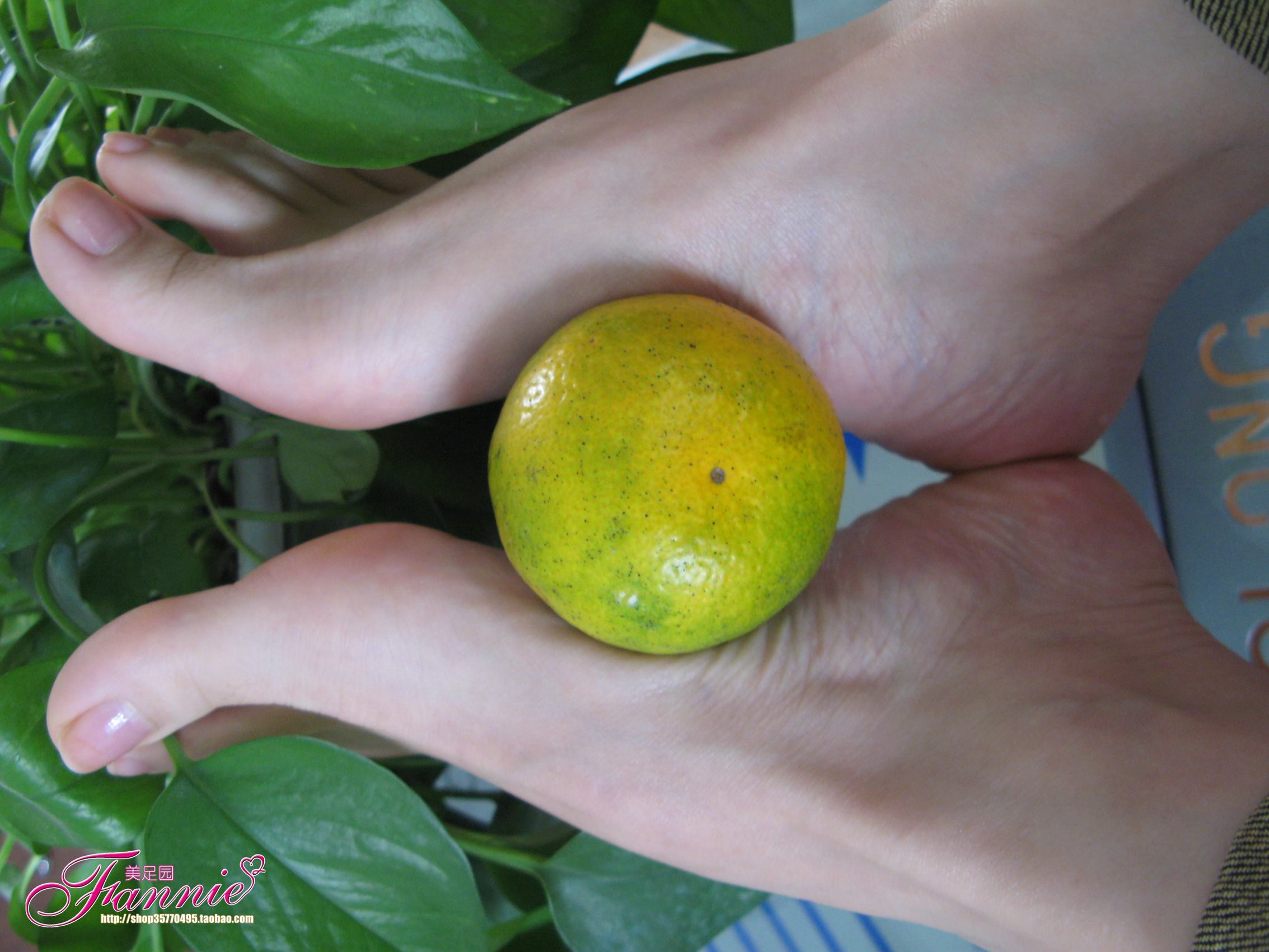 图片[52]-Fannie芬妮每足园 No.386 秋韵偶拾之青葱[92P] – 速更版-美库