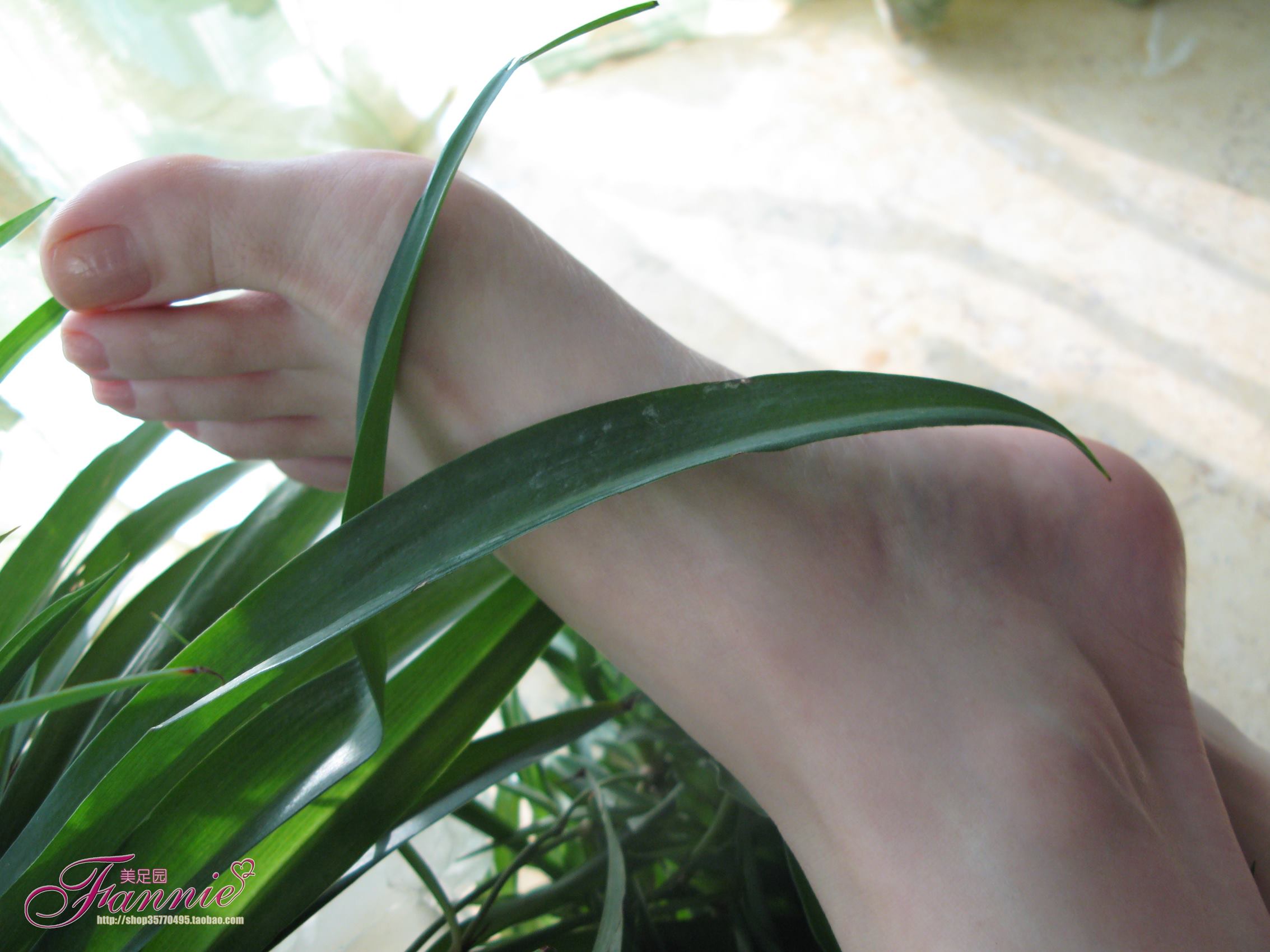 图片[85]-Fannie芬妮每足园 No.386 秋韵偶拾之青葱[92P] – 速更版-美库