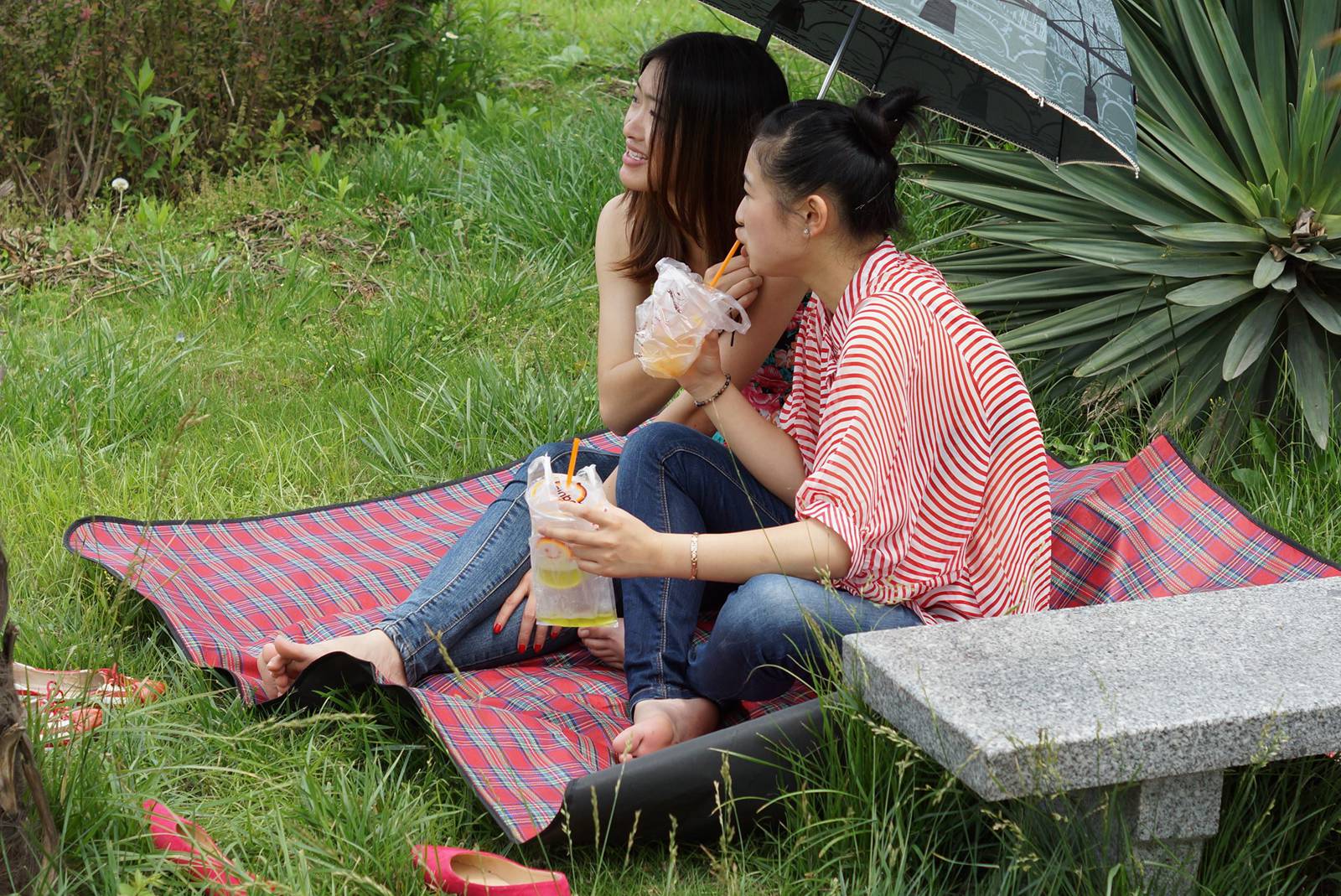 图片[32]-自由摄影 No.122 瞬间的永恒，两个MM完全不知 [51P] – 速更版-美库