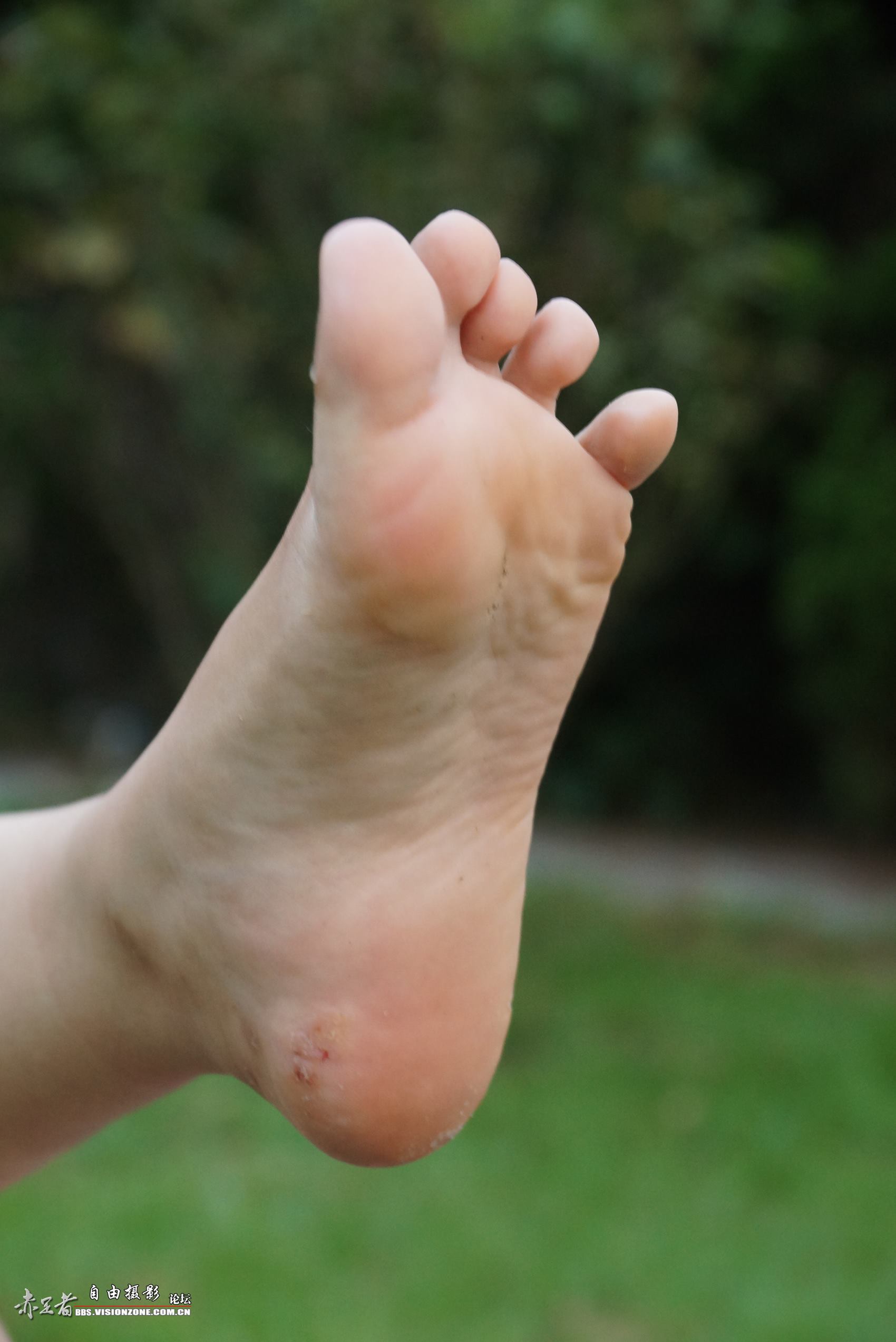 图片[21]-自由摄影 No.126 如此优雅的外教辅导老师 [45P] – 速更版-美库