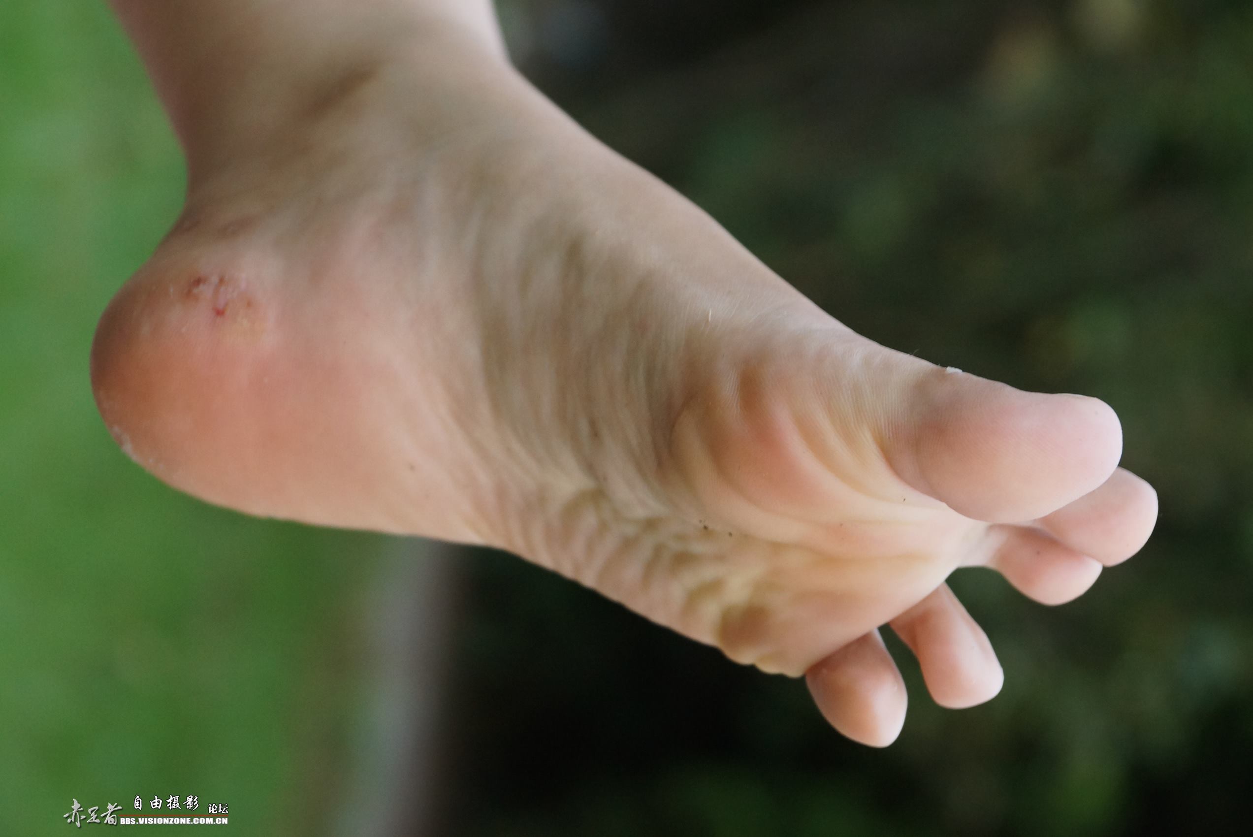 图片[22]-自由摄影 No.126 如此优雅的外教辅导老师 [45P] – 速更版-美库