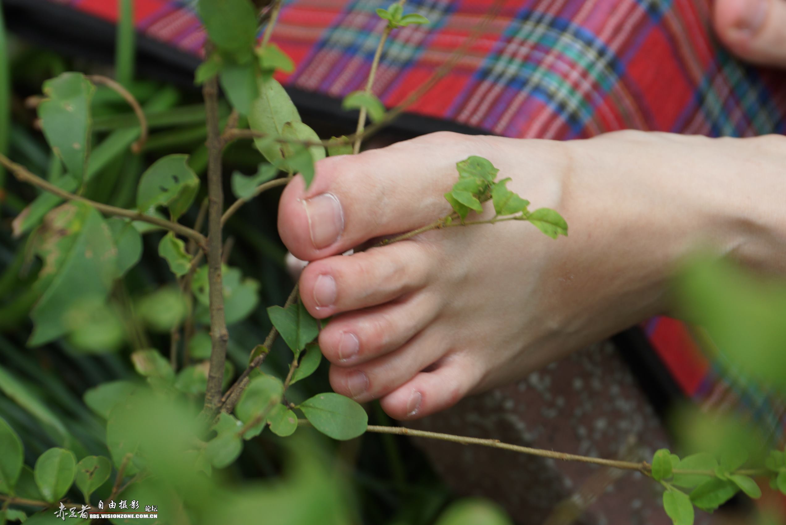 图片[43]-自由摄影 No.134 只有从她的足底纹路里，才能看到四年大学的历程 [61P] – 速更版-美库