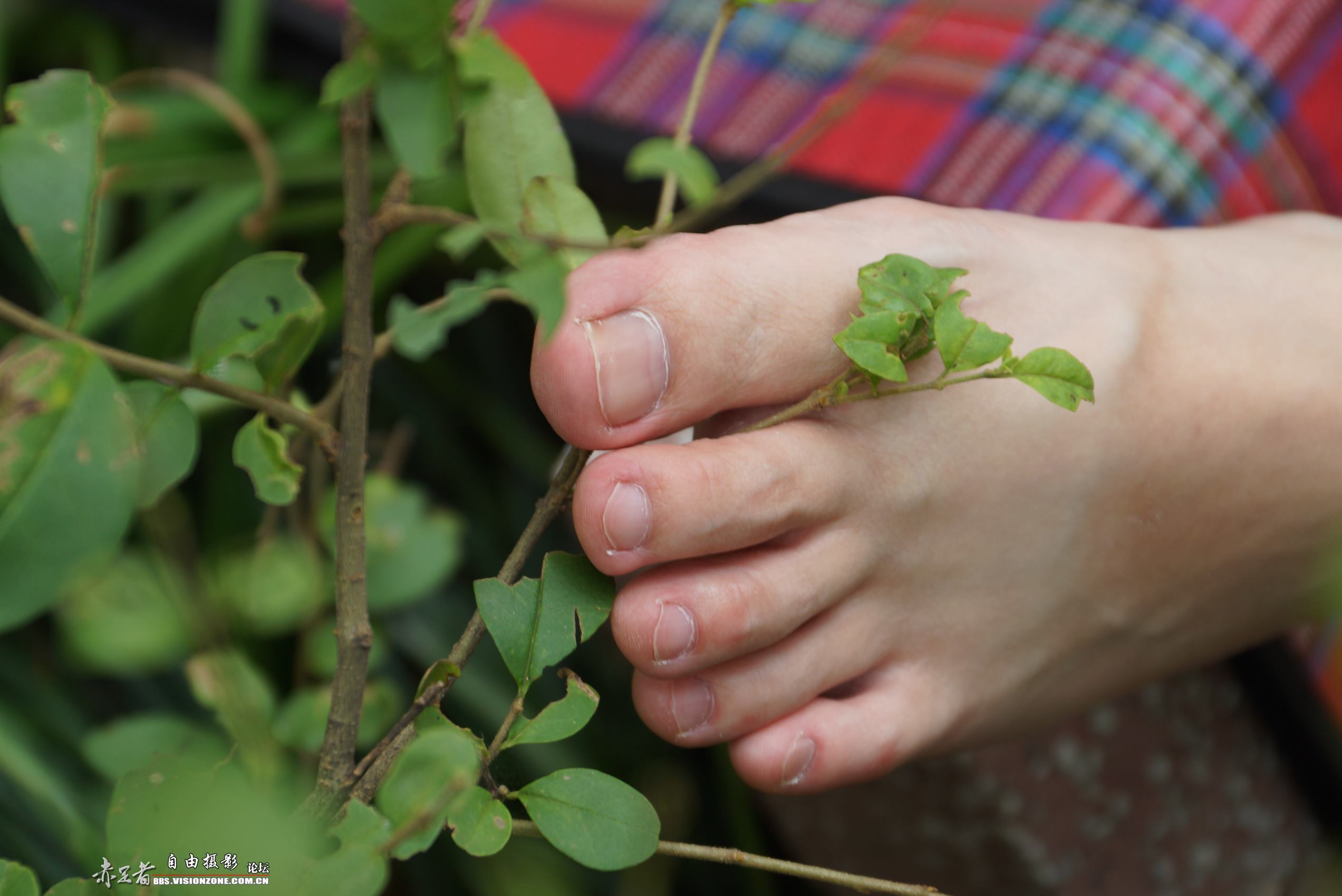 图片[44]-自由摄影 No.134 只有从她的足底纹路里，才能看到四年大学的历程 [61P] – 速更版-美库