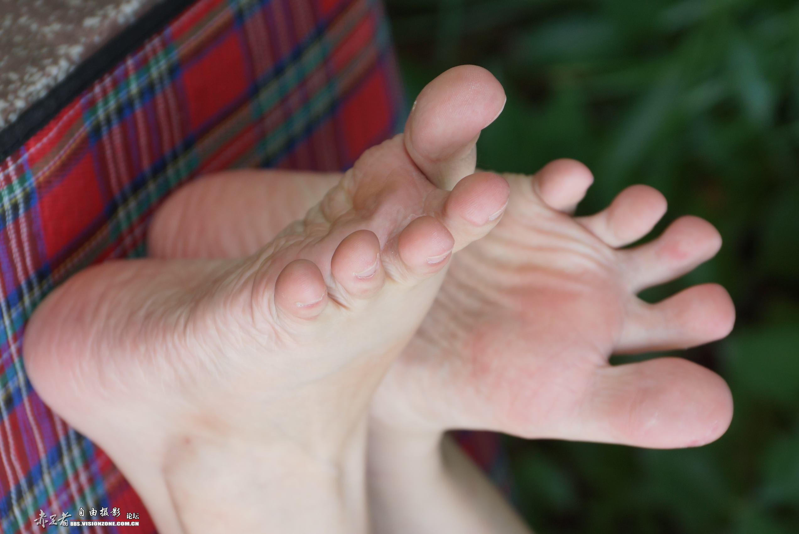 图片[19]-自由摄影 No.135 白嫩干净的上品玉足 [98P] – 速更版-美库