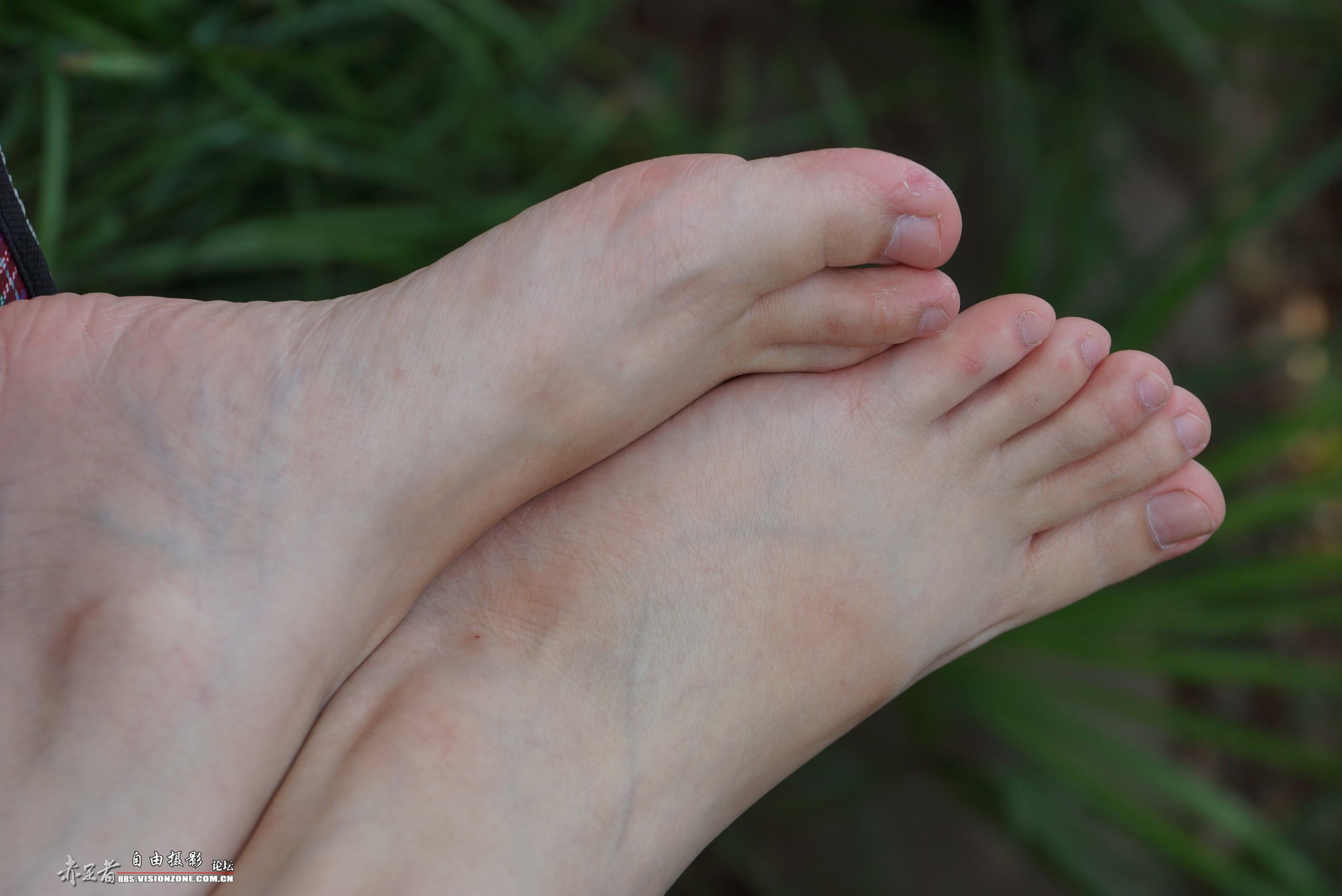 图片[44]-自由摄影 No.135 白嫩干净的上品玉足 [98P] – 速更版-美库