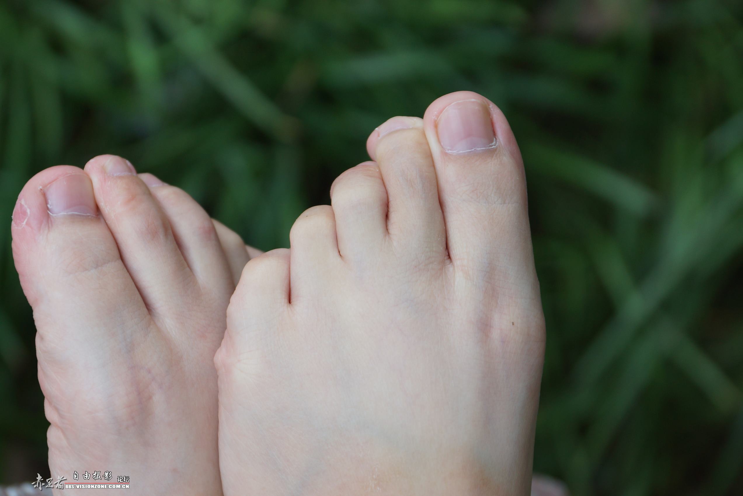 图片[48]-自由摄影 No.135 白嫩干净的上品玉足 [98P] – 速更版-美库