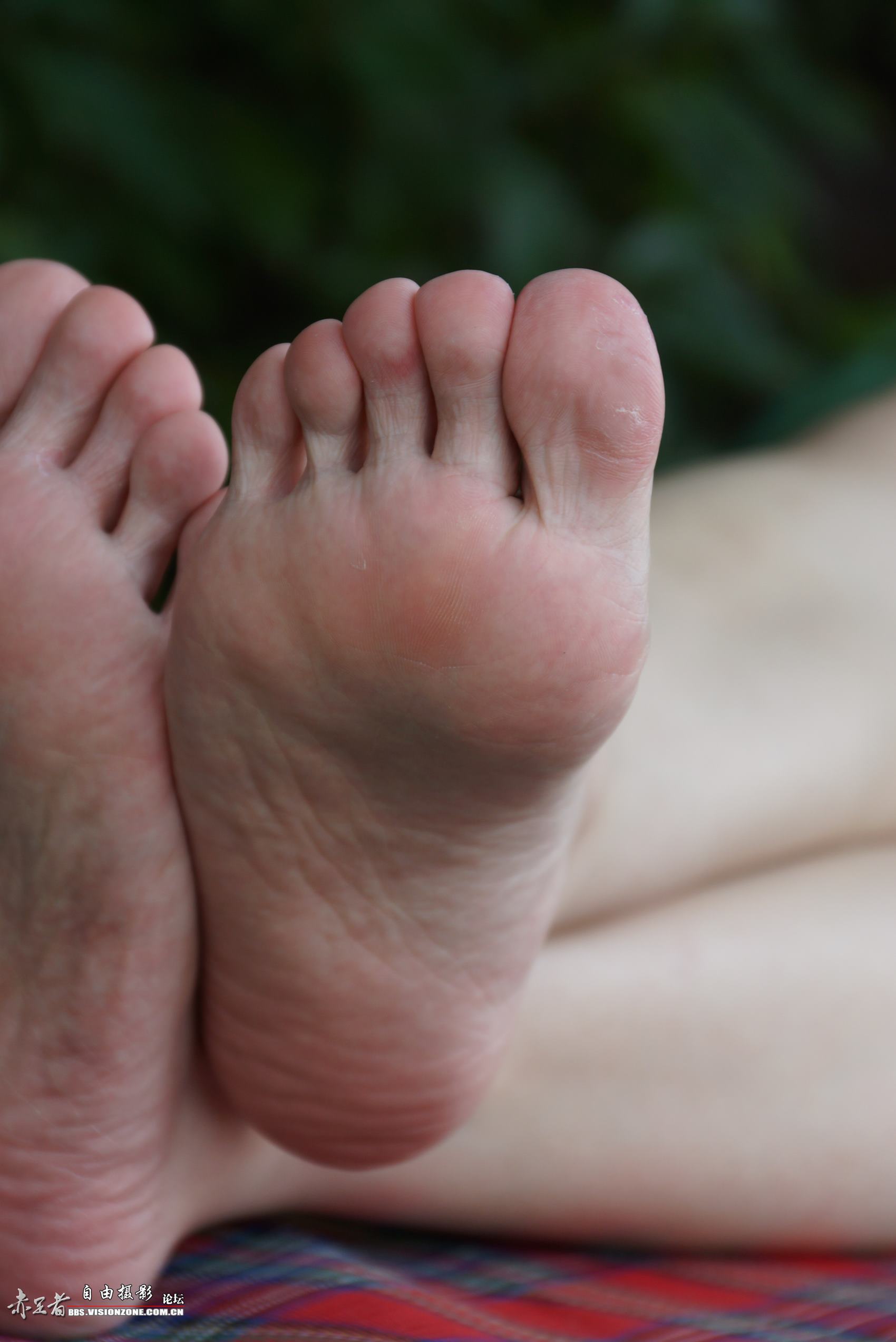图片[54]-自由摄影 No.135 白嫩干净的上品玉足 [98P] – 速更版-美库