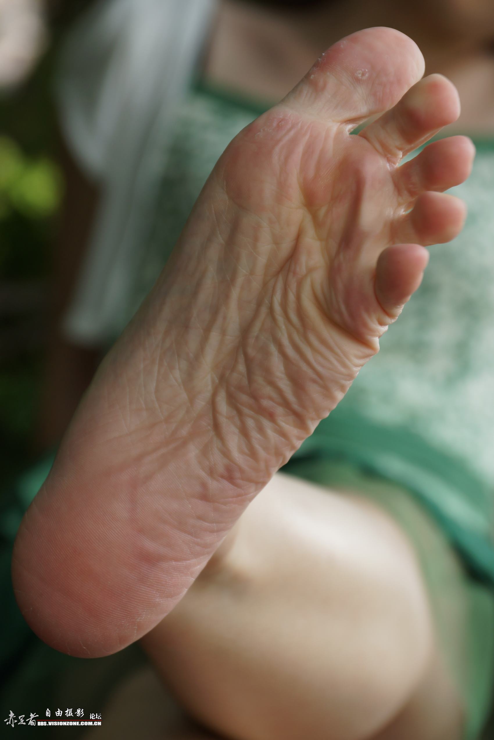 图片[89]-自由摄影 No.135 白嫩干净的上品玉足 [98P] – 速更版-美库