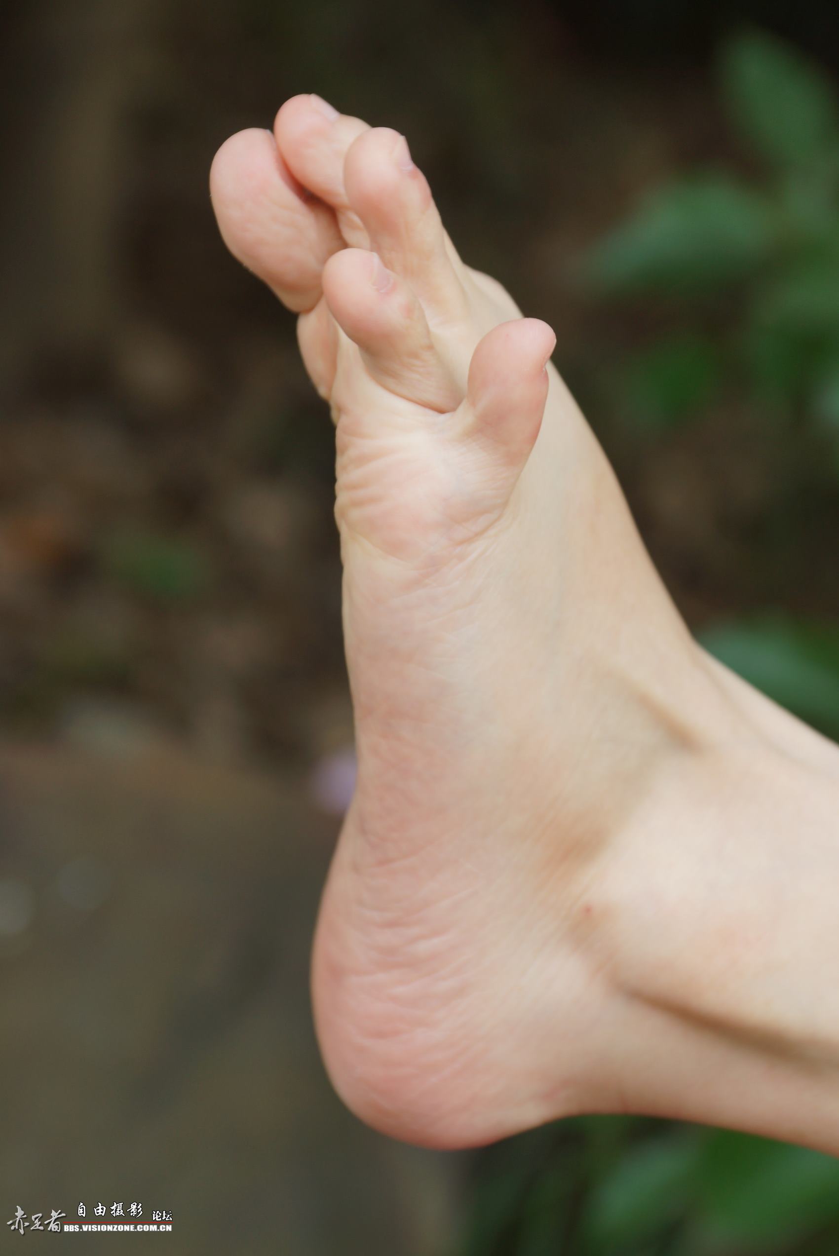 图片[90]-自由摄影 No.135 白嫩干净的上品玉足 [98P] – 速更版-美库