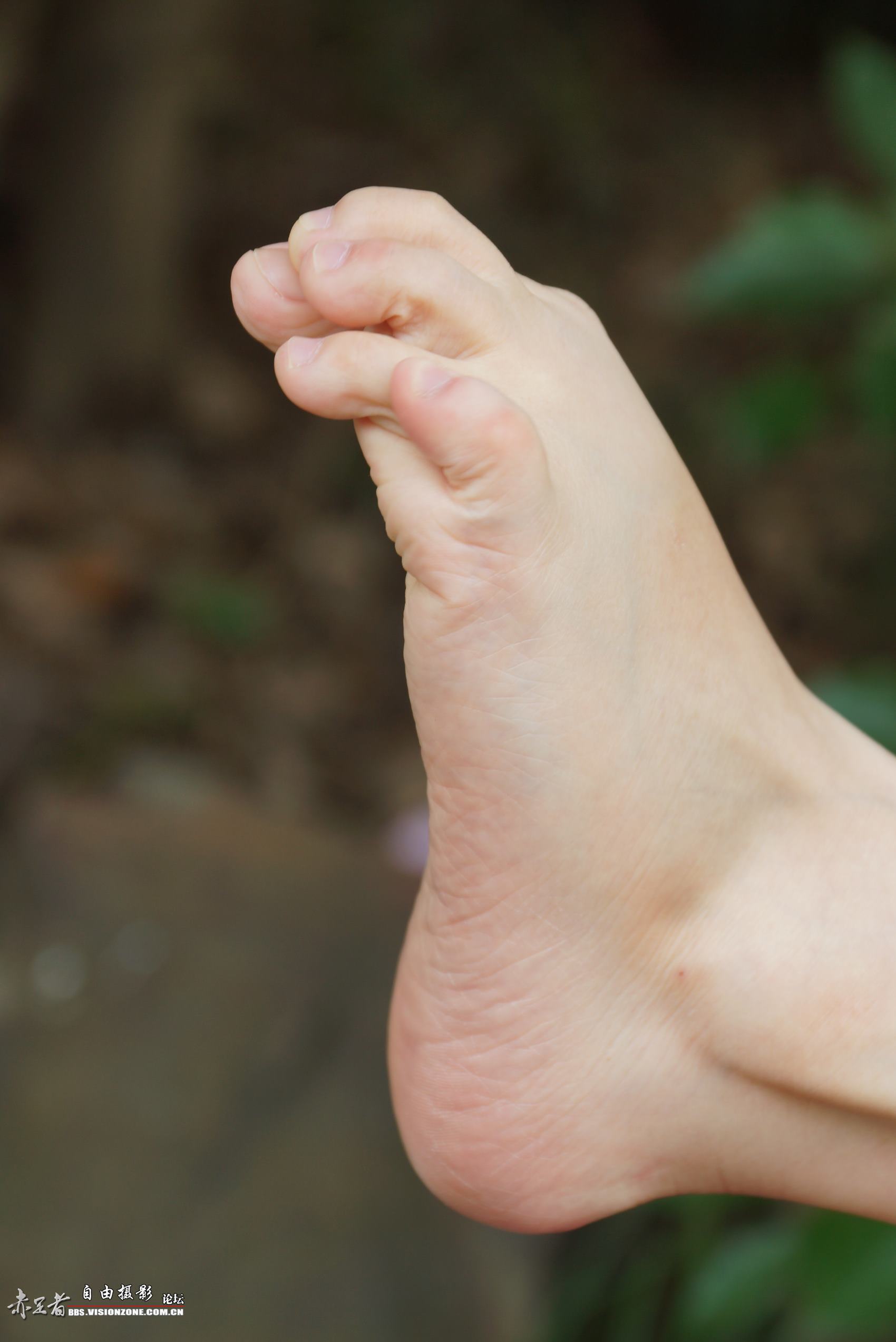 图片[91]-自由摄影 No.135 白嫩干净的上品玉足 [98P] – 速更版-美库