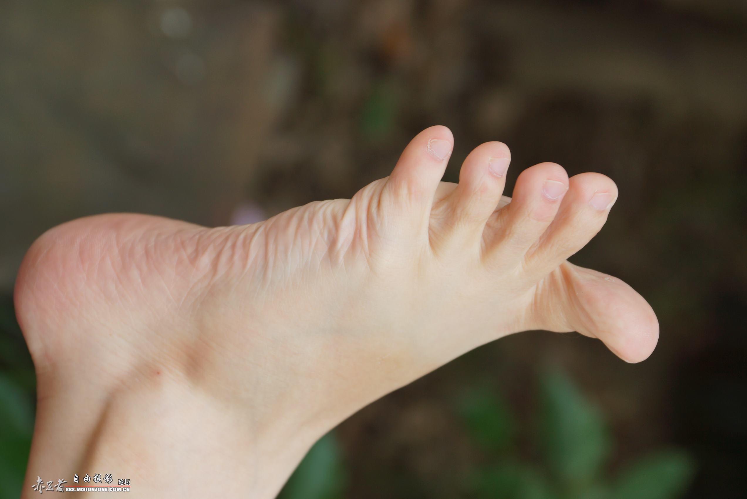 图片[93]-自由摄影 No.135 白嫩干净的上品玉足 [98P] – 速更版-美库