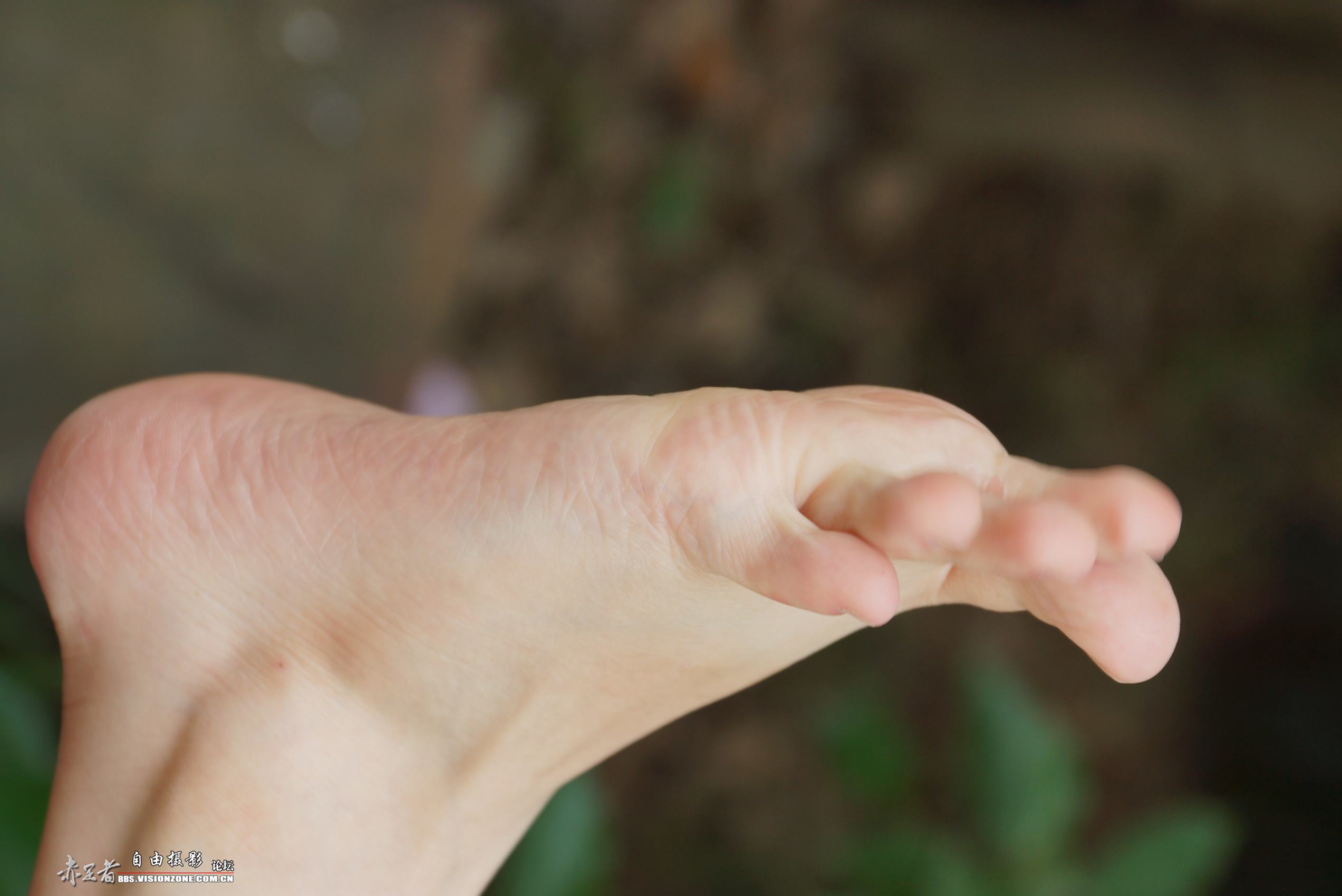 图片[94]-自由摄影 No.135 白嫩干净的上品玉足 [98P] – 速更版-美库