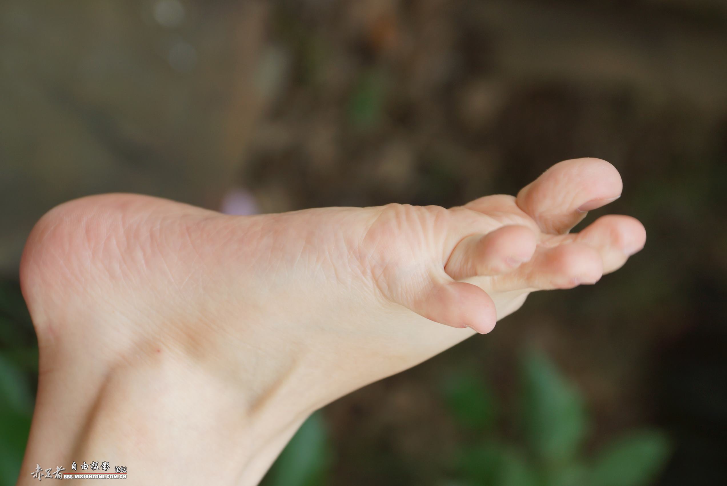 图片[95]-自由摄影 No.135 白嫩干净的上品玉足 [98P] – 速更版-美库