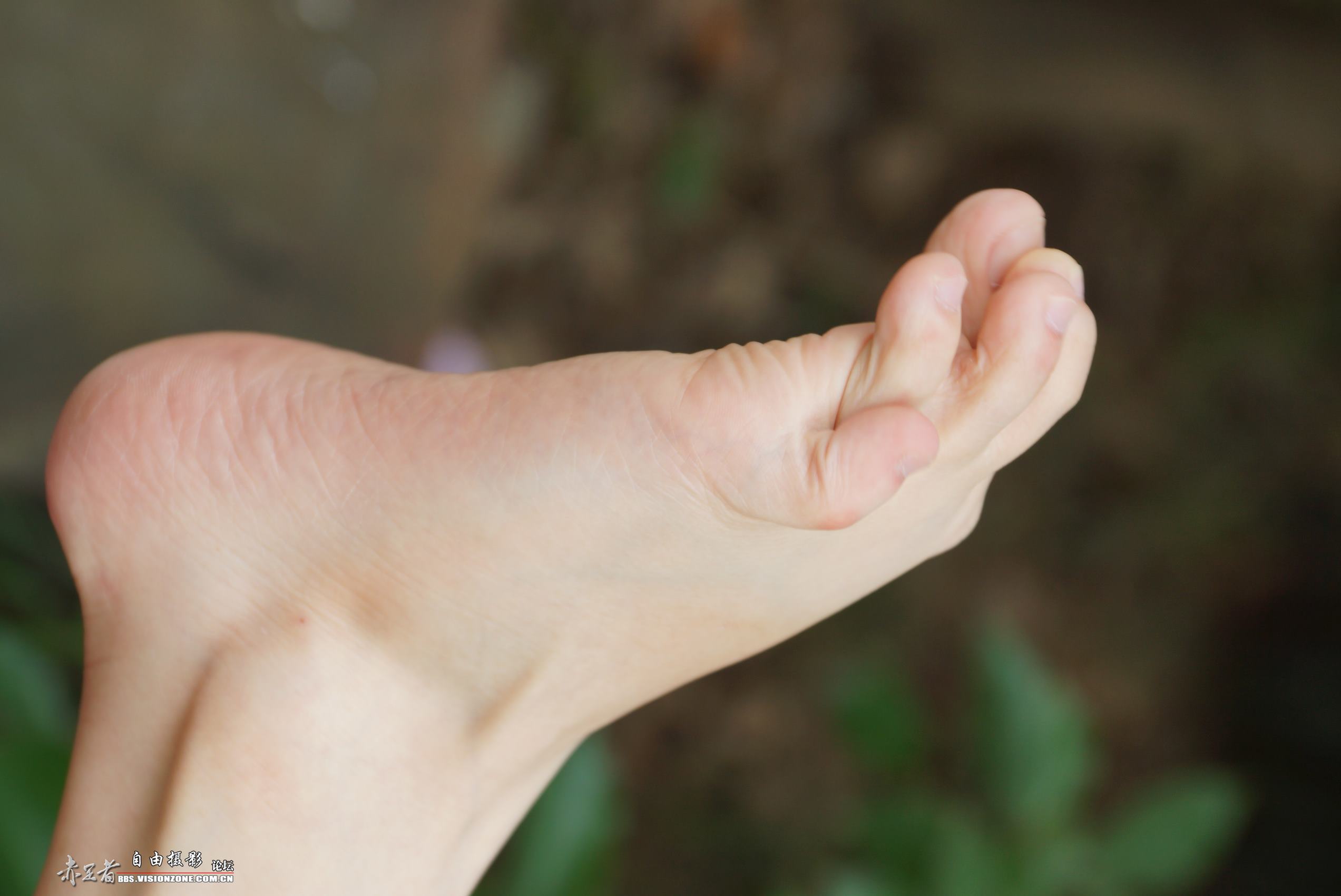 图片[96]-自由摄影 No.135 白嫩干净的上品玉足 [98P] – 速更版-美库