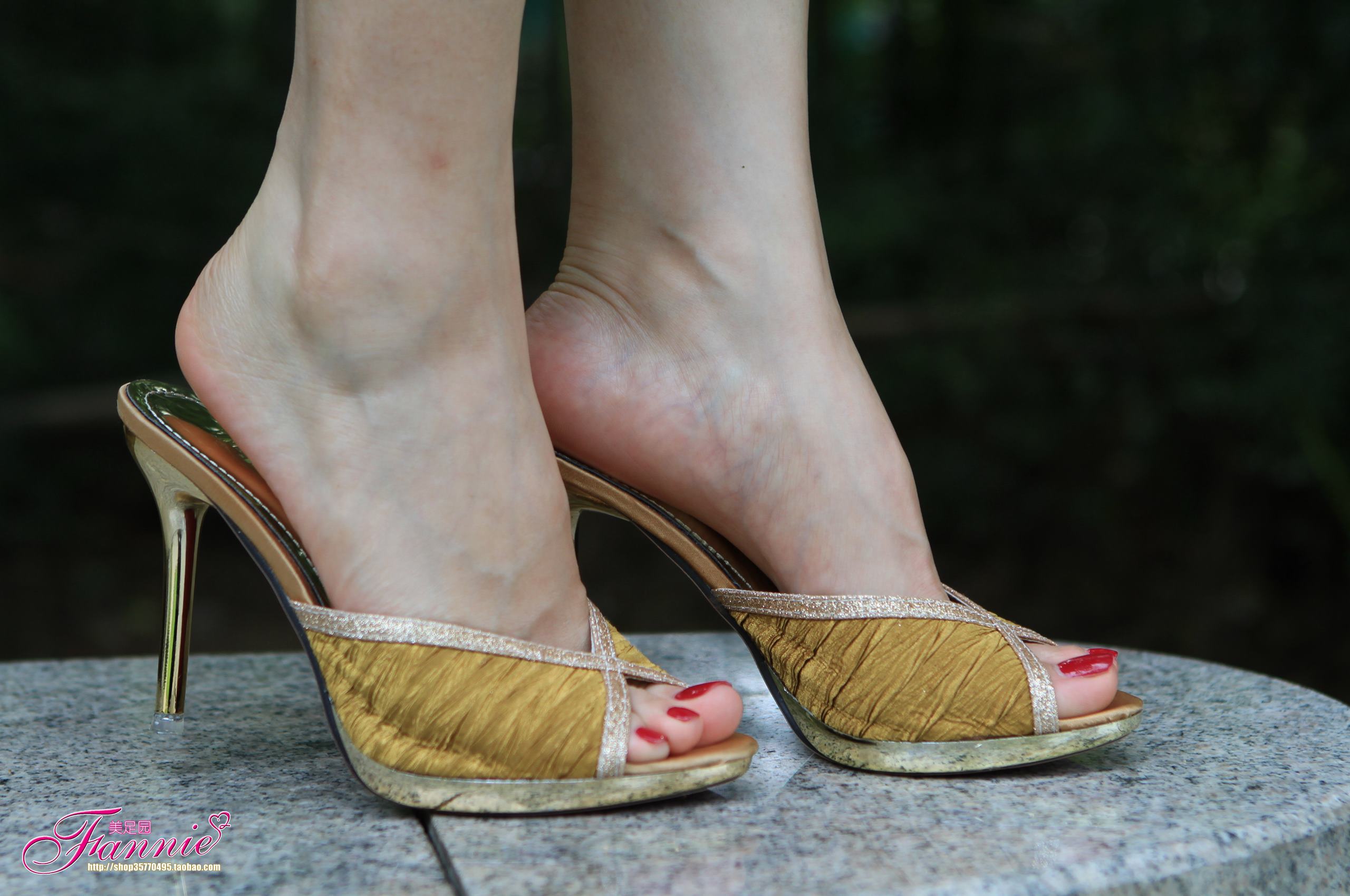 图片[23]-Fannie芬妮每足园 No.410 盛夏风华-3[66P] – 速更版-美库