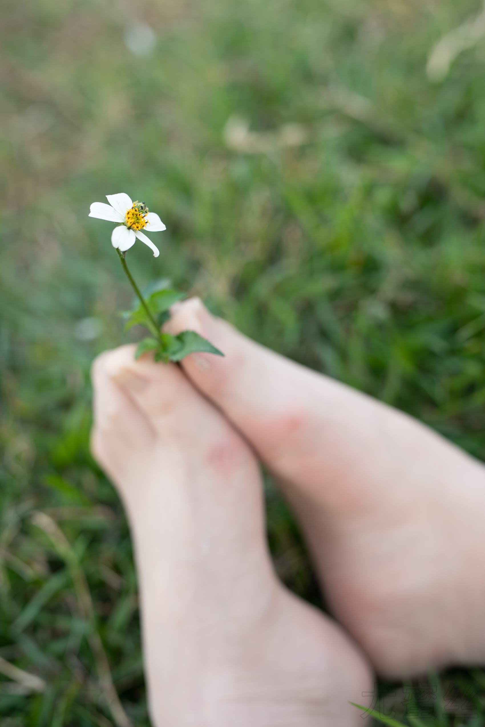 图片[42]-尤蜜丝  穿搭推广展示图集 青春的气息 [60P] – 速更版-美库