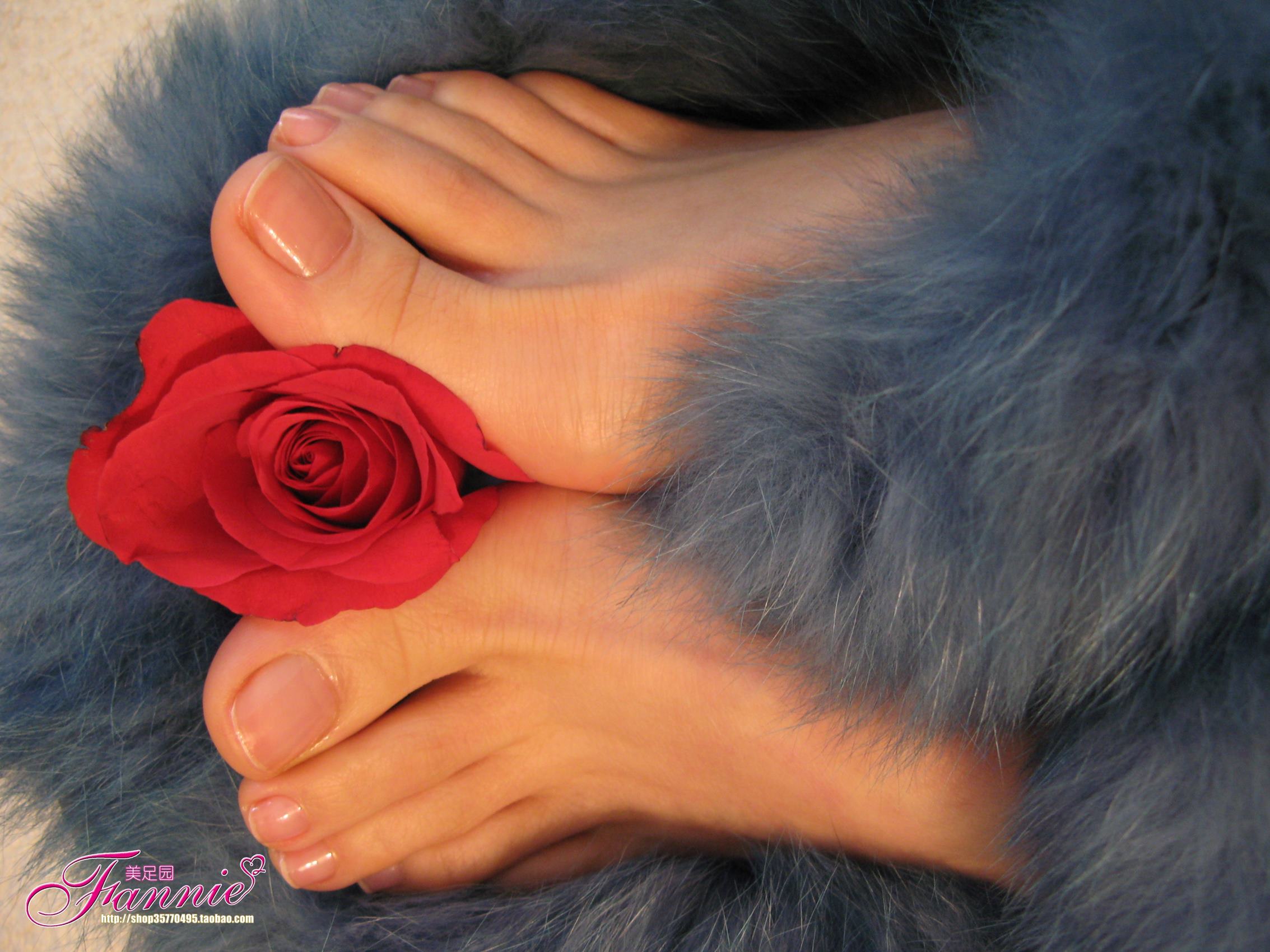 图片[37]-Fannie芬妮每足园 No.413 水歌[83P] – 速更版-美库