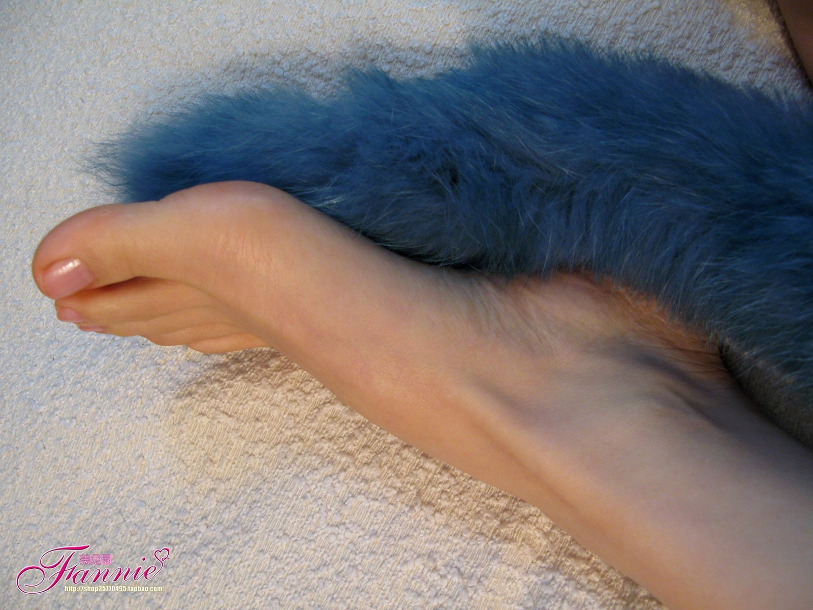 图片[52]-Fannie芬妮每足园 No.413 水歌[83P] – 速更版-美库