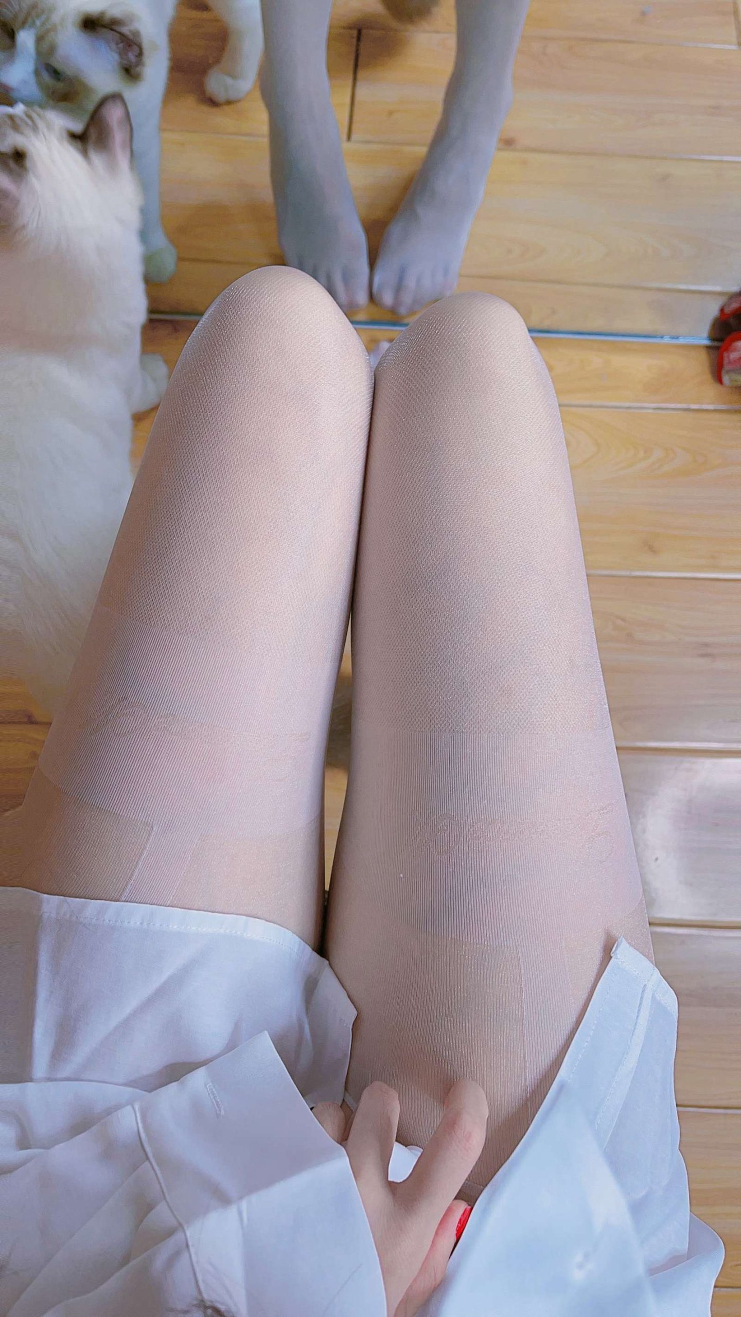 图片[72]-miko酱ww  – mikoの白丝01[241P] – 速更版-美库