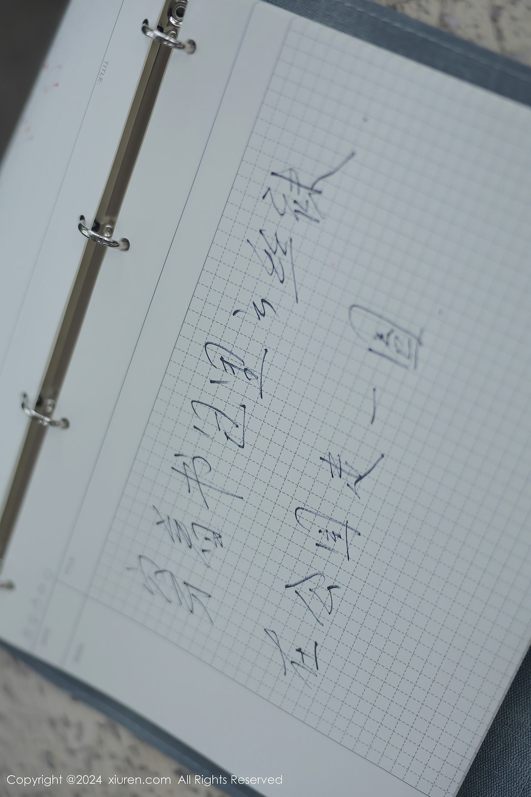 图片[11]-[Xiuren秀人网]2024.04.02 NO.8335 小薯条nienie 主人的任务  [32+1P] – 速更版-美库