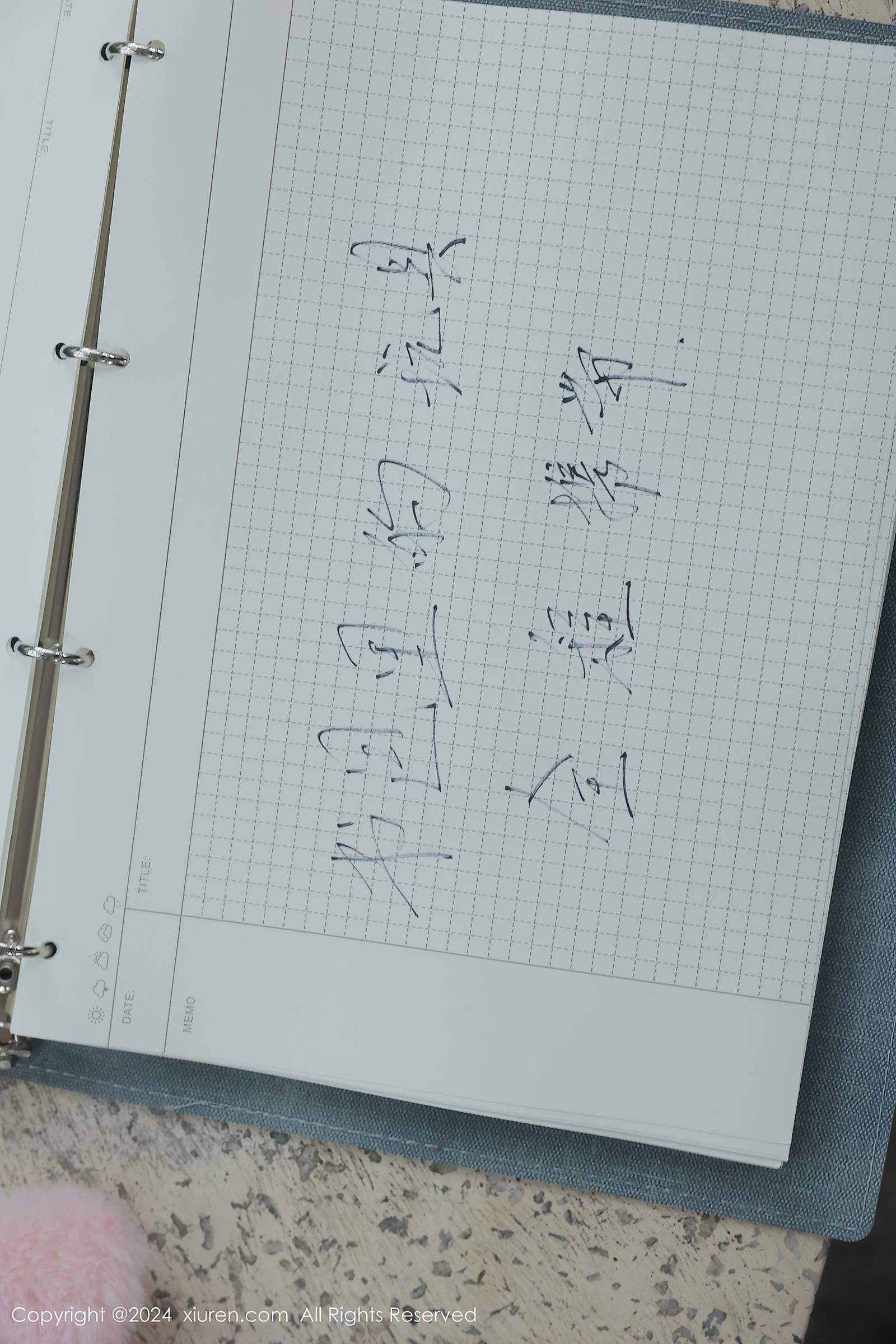 图片[12]-[Xiuren秀人网]2024.04.02 NO.8335 小薯条nienie 主人的任务  [32+1P] – 速更版-美库